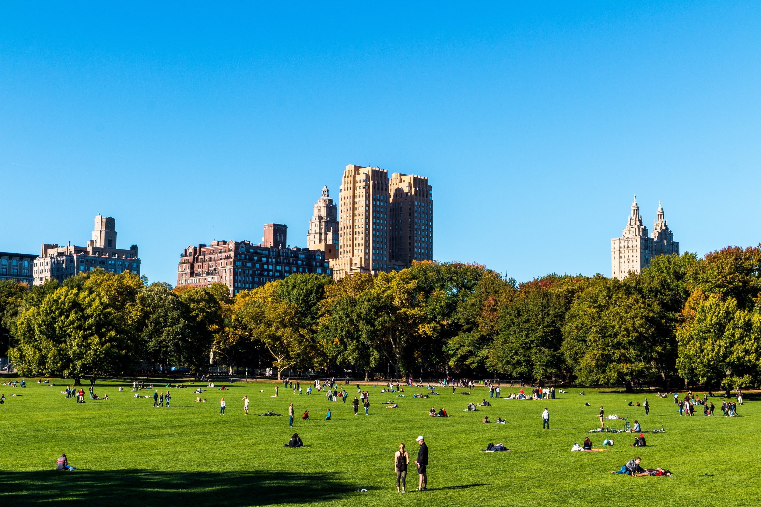 City skyline with tall buildings above a large green park filled with people relaxing and socializing on the grass.