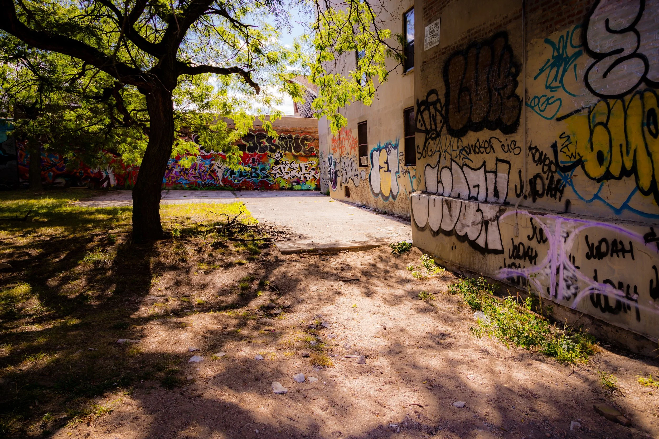 An alley with a large tree casting shade on the dirt ground, surrounded by buildings with colorful graffiti on the walls.