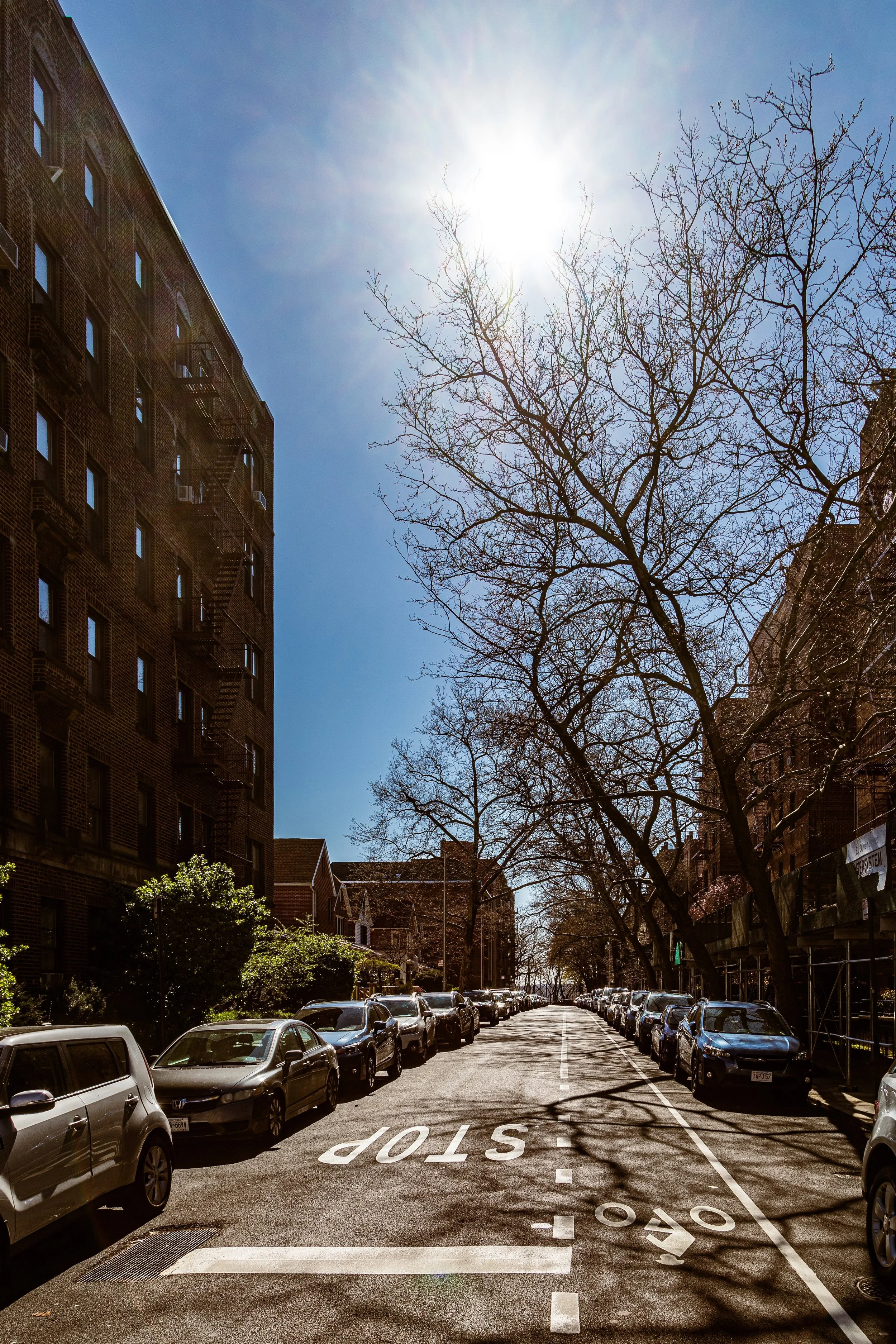 A city street lined with parked cars and leafless trees under a bright sun in a clear blue sky.