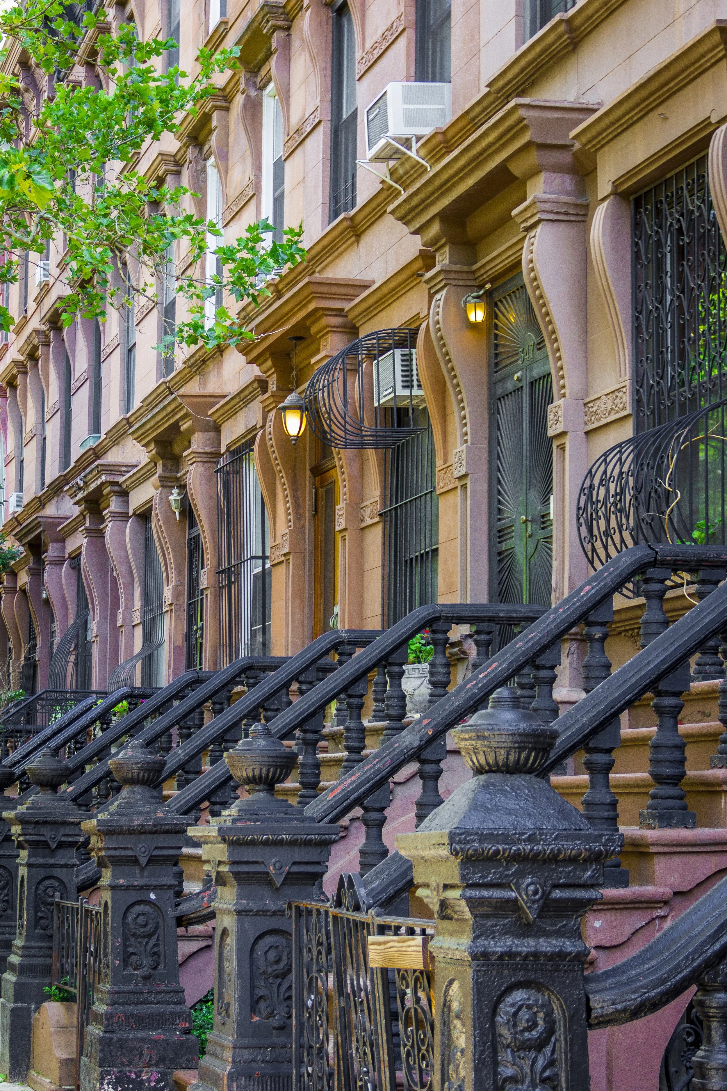 Row of brownstone townhouse facades with ornate architectural details, black iron railings on the stairs, and small plants in window boxes. Some windows have air conditioning units. Green tree branches partially visible at the top left.