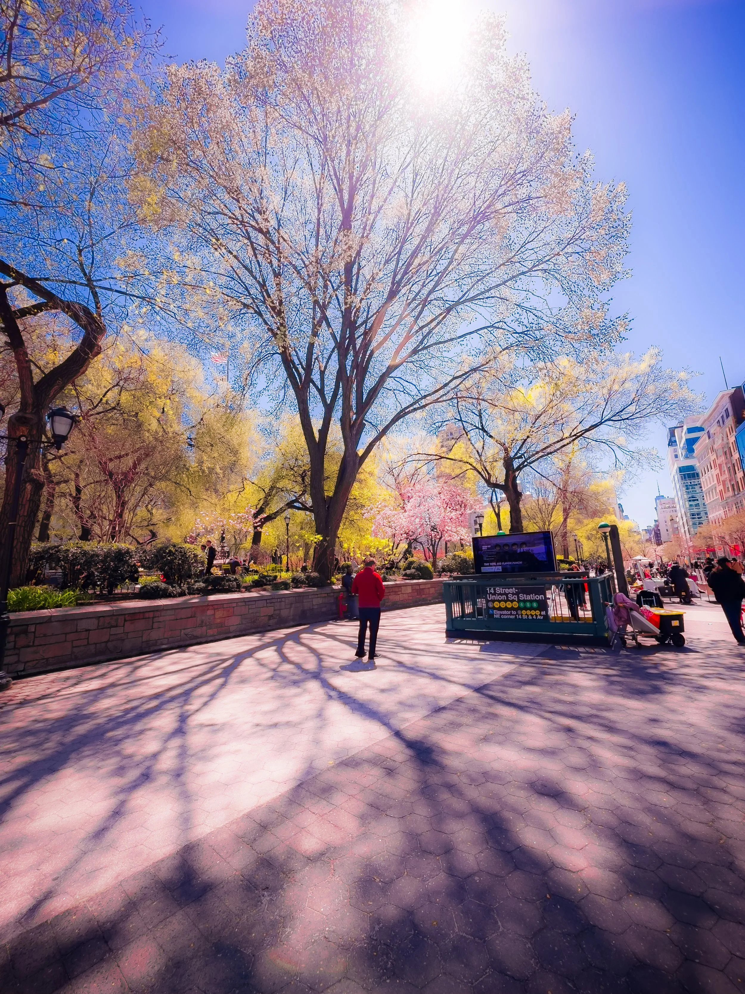 A city park with large trees, some blooming with pink flowers and others with yellow leaves, under a bright sunny sky. A few people are walking and sitting, with a subway entrance and tall buildings visible in the background.