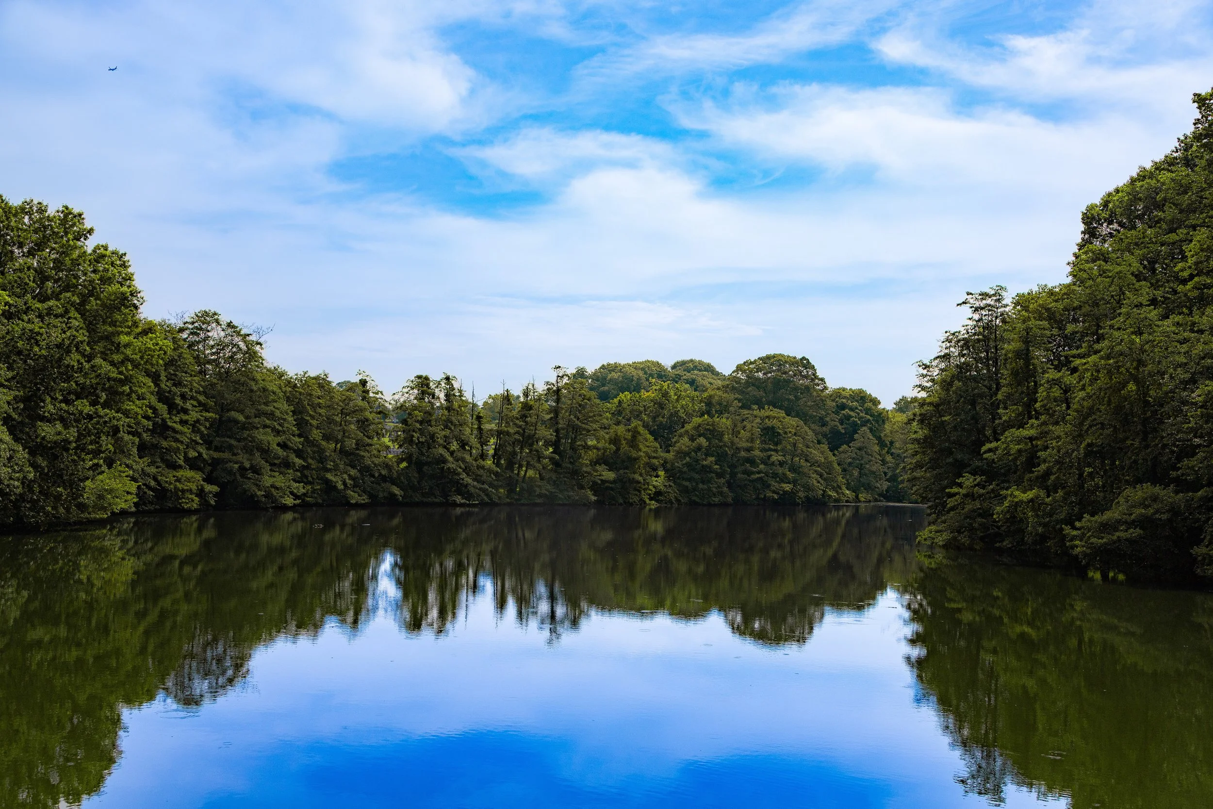 Calm river flowing through a lush green forest under a partly cloudy blue sky, with reflections of trees on the water.