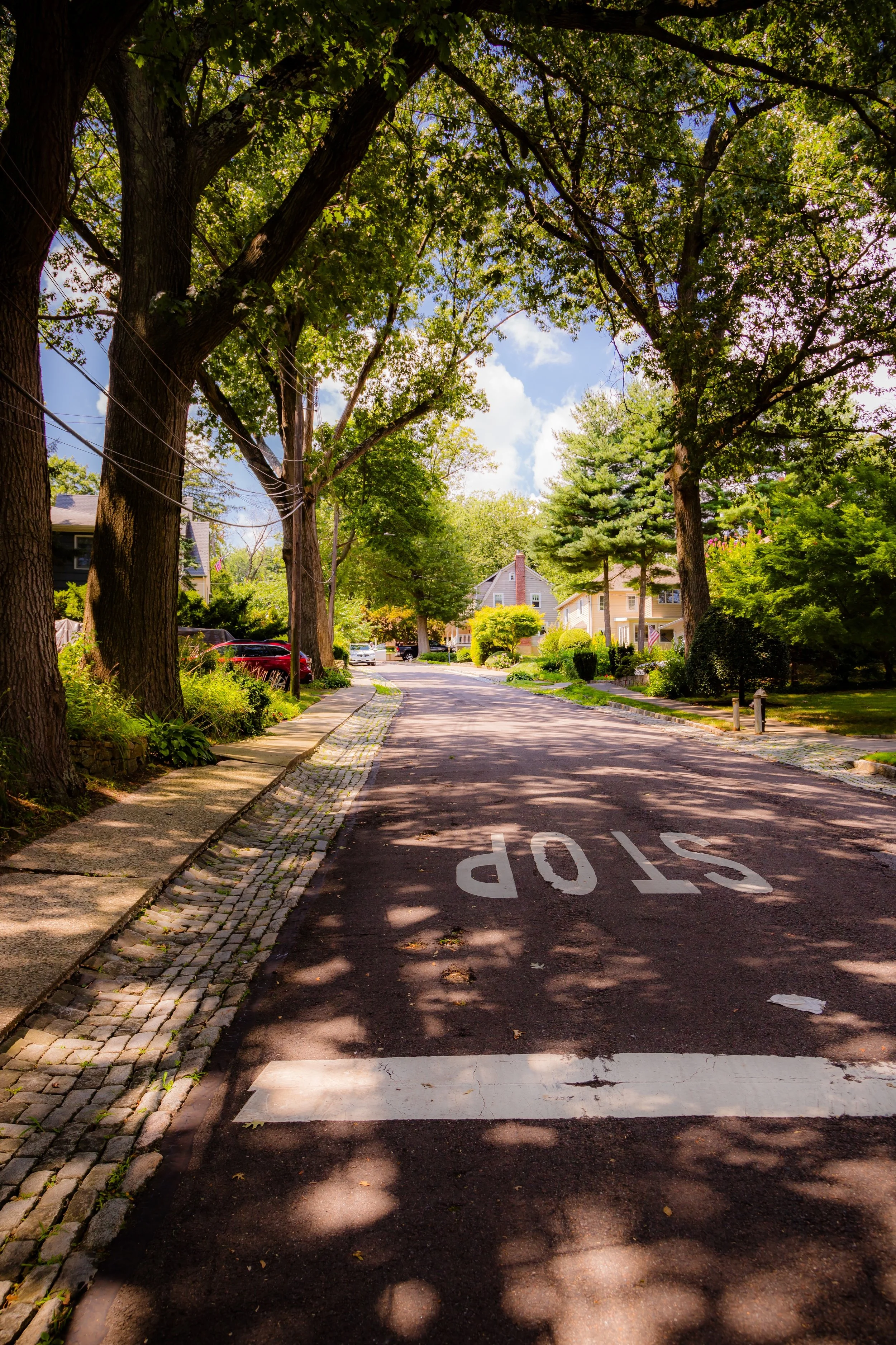 A residential street lined with large trees providing shade, with a stop sign painted on the asphalt, and houses with lush green lawns on a sunny day.