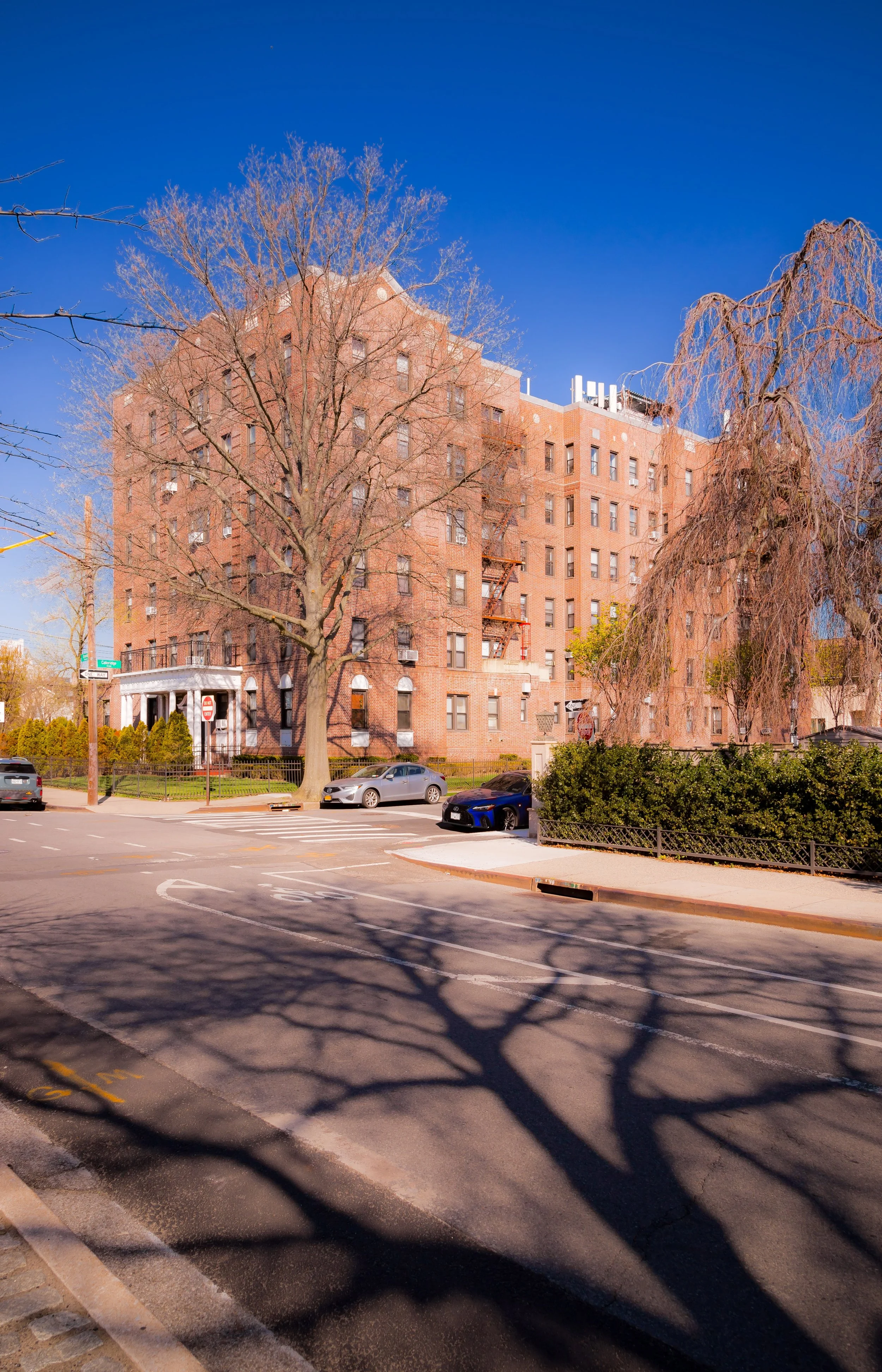 A brick apartment building under a clear blue sky, with leafless trees casting shadows on the sidewalk and street, and several parked cars in front.