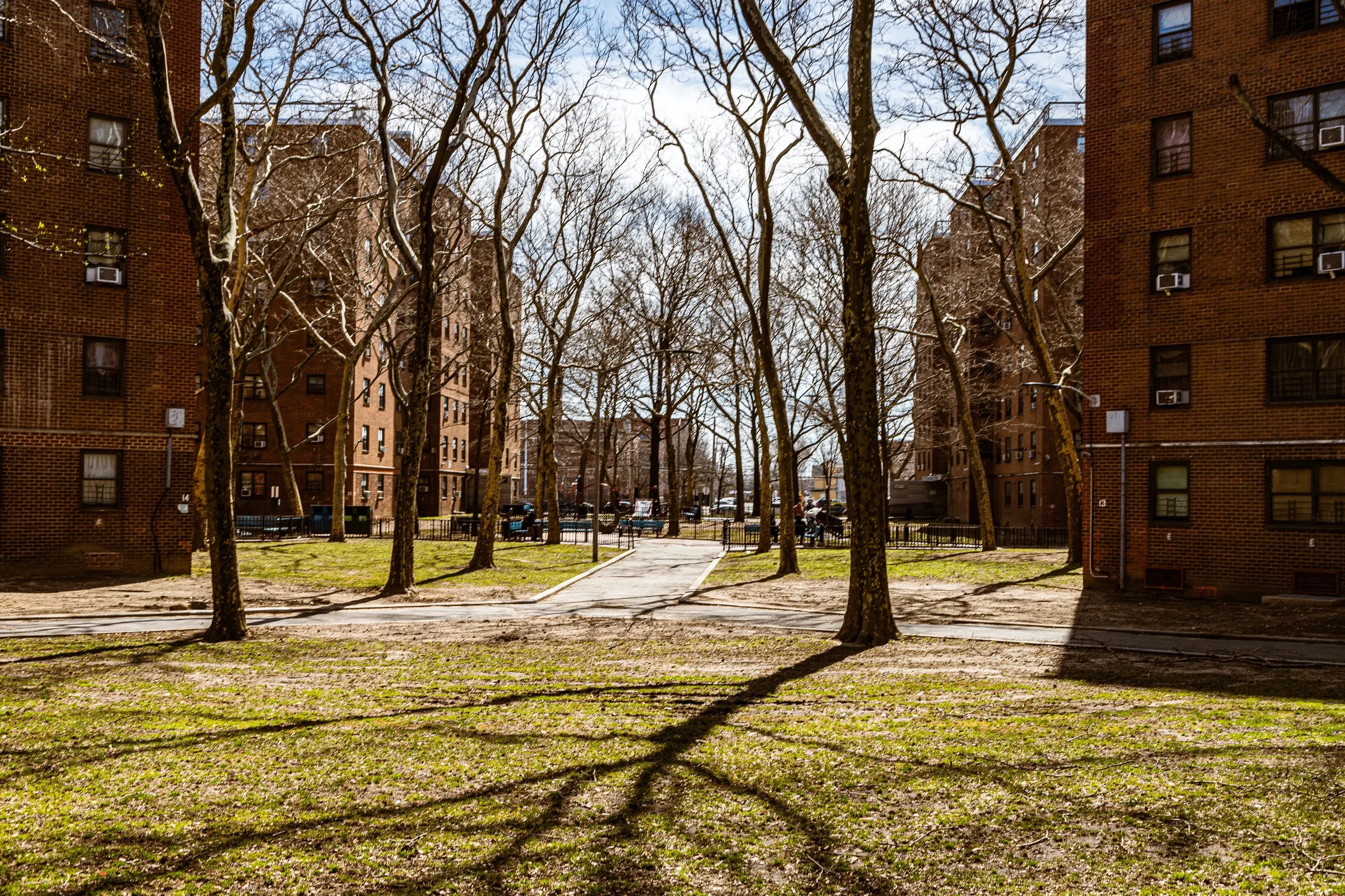 A city park in spring with leafless trees, grass, and sidewalks, surrounded by red brick apartment buildings under a partly cloudy sky.