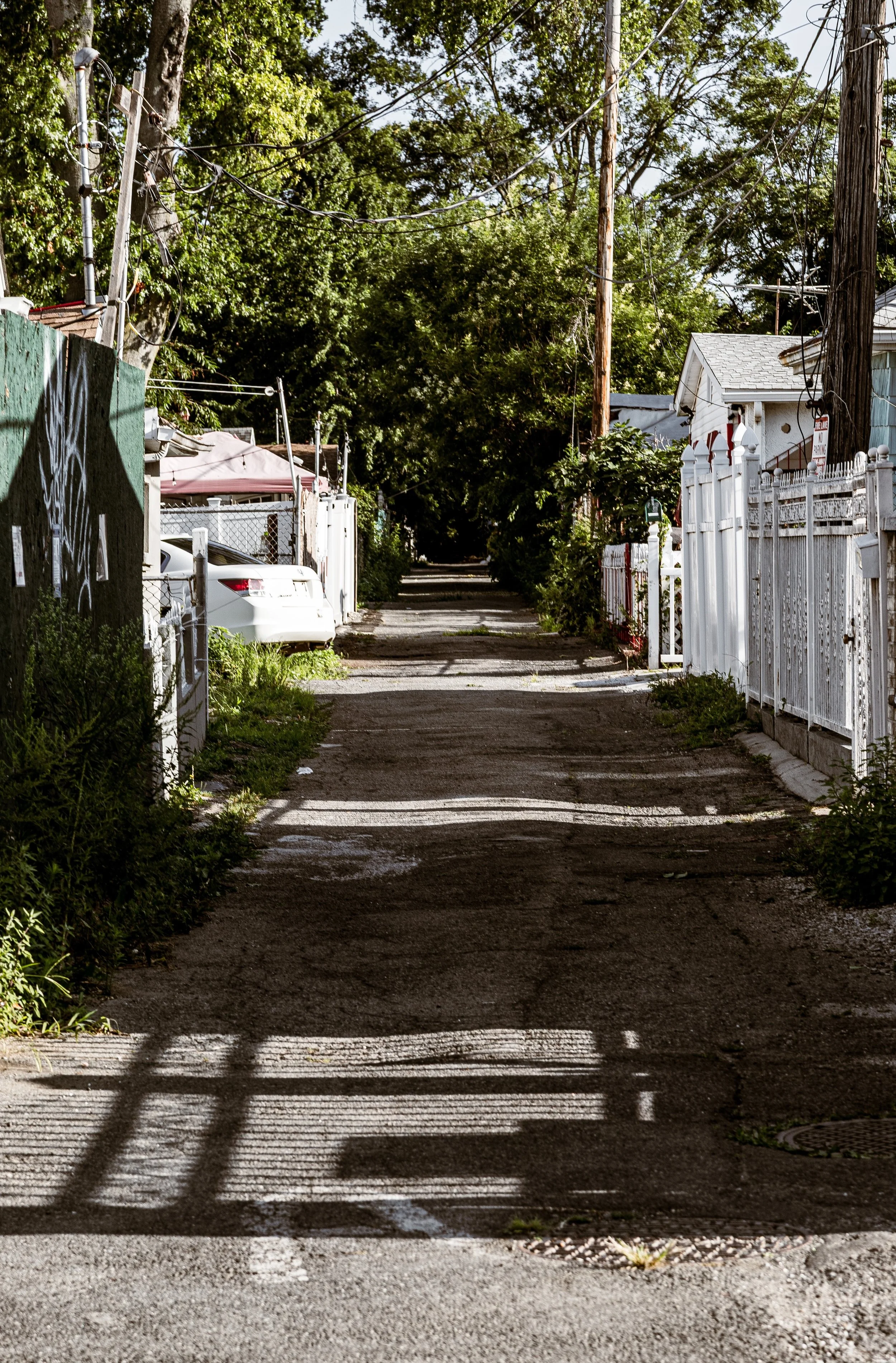 A narrow urban alleyway with fences, trees, utility poles, and parked cars.