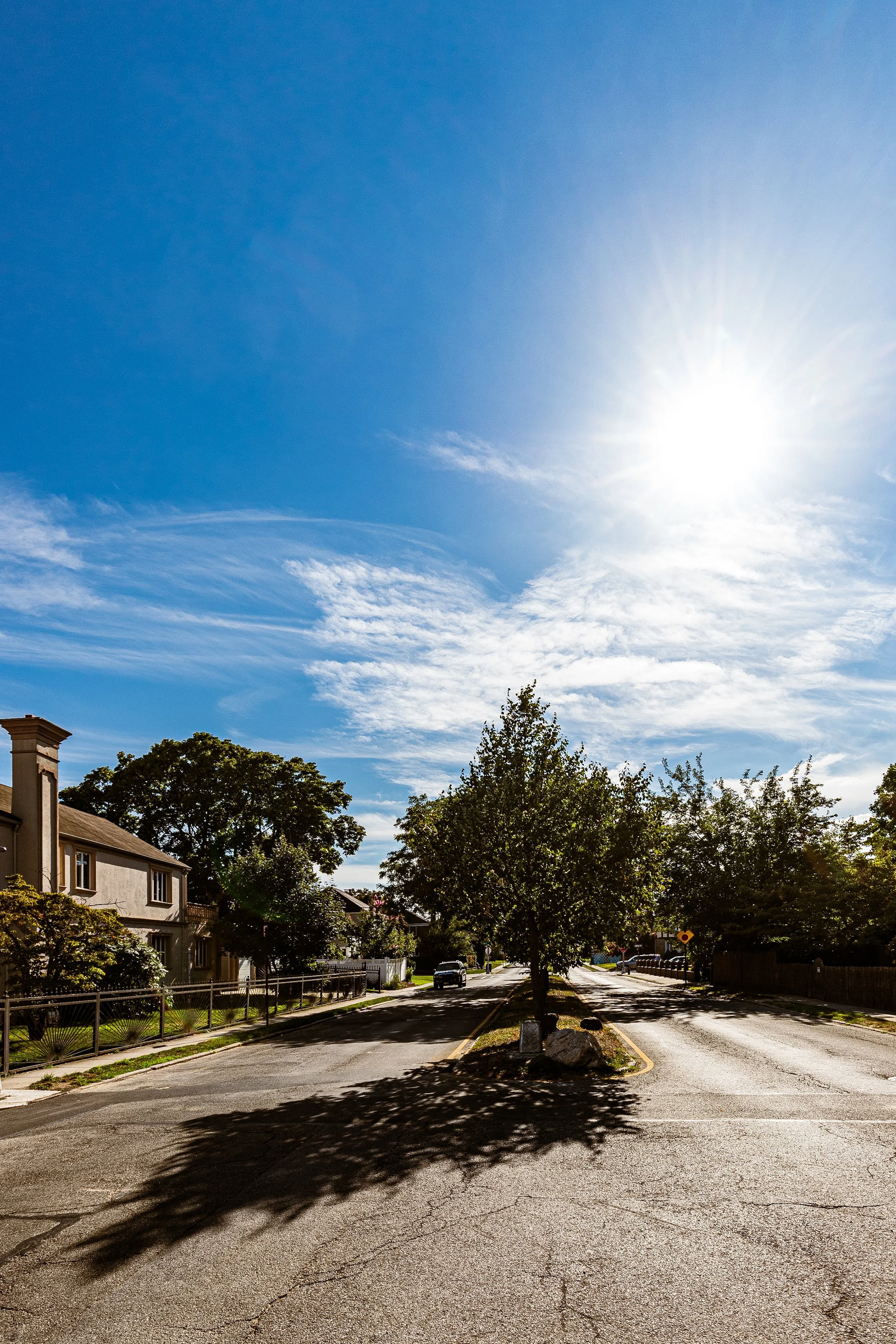 A sunny residential street with a tree in the center, casting a shadow on the road. Houses line the street, under a clear blue sky with some wispy clouds.