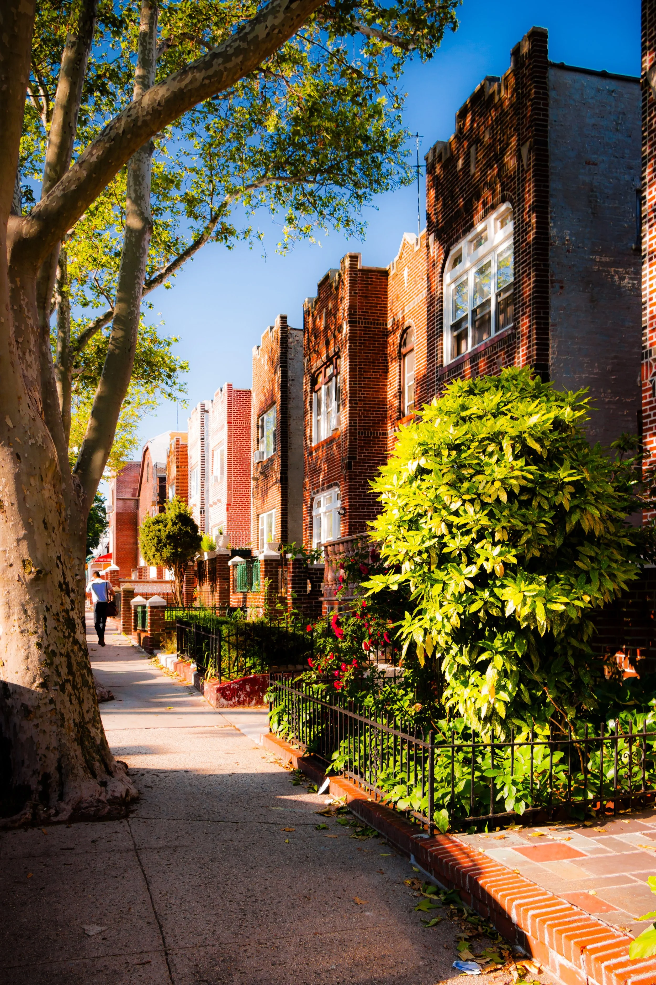 A sidewalk lined with red brick row houses and green bushes, with a large tree and a person walking in the distance on a sunny day.