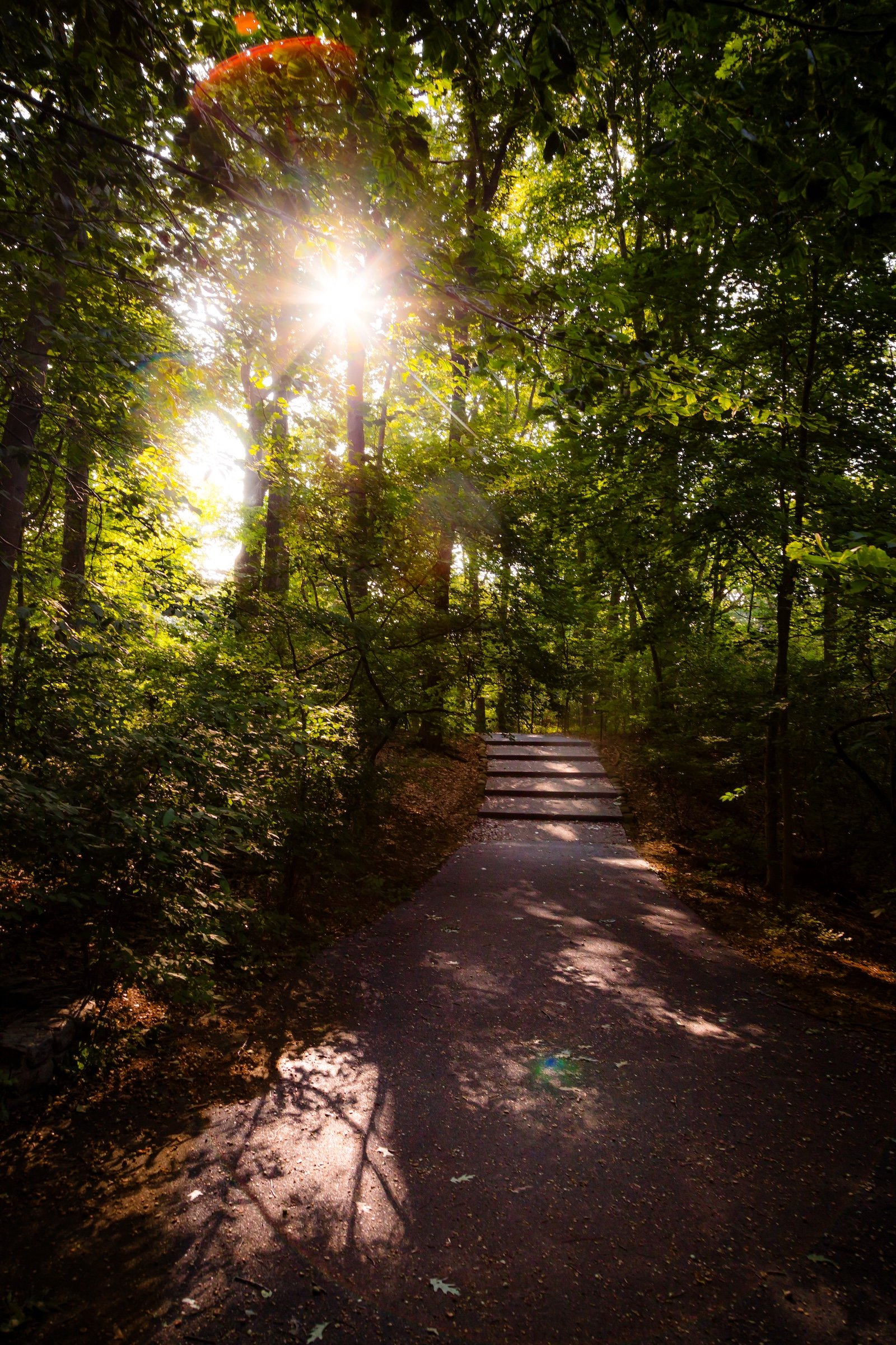 Steps Sunburst - Click To Purchase Print