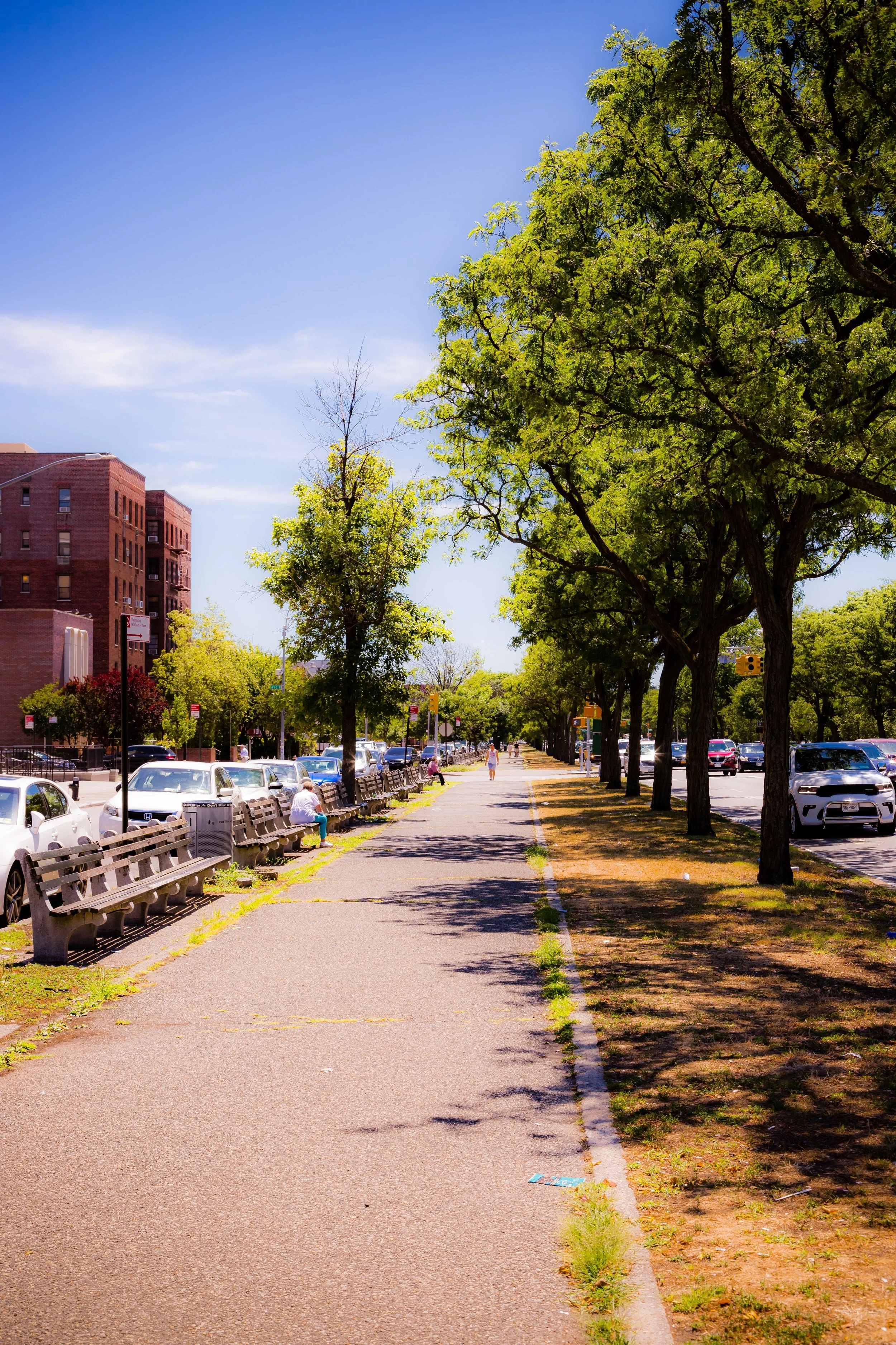 Sidewalk lined with trees and benches, with parked cars on one side and a clear blue sky overhead.