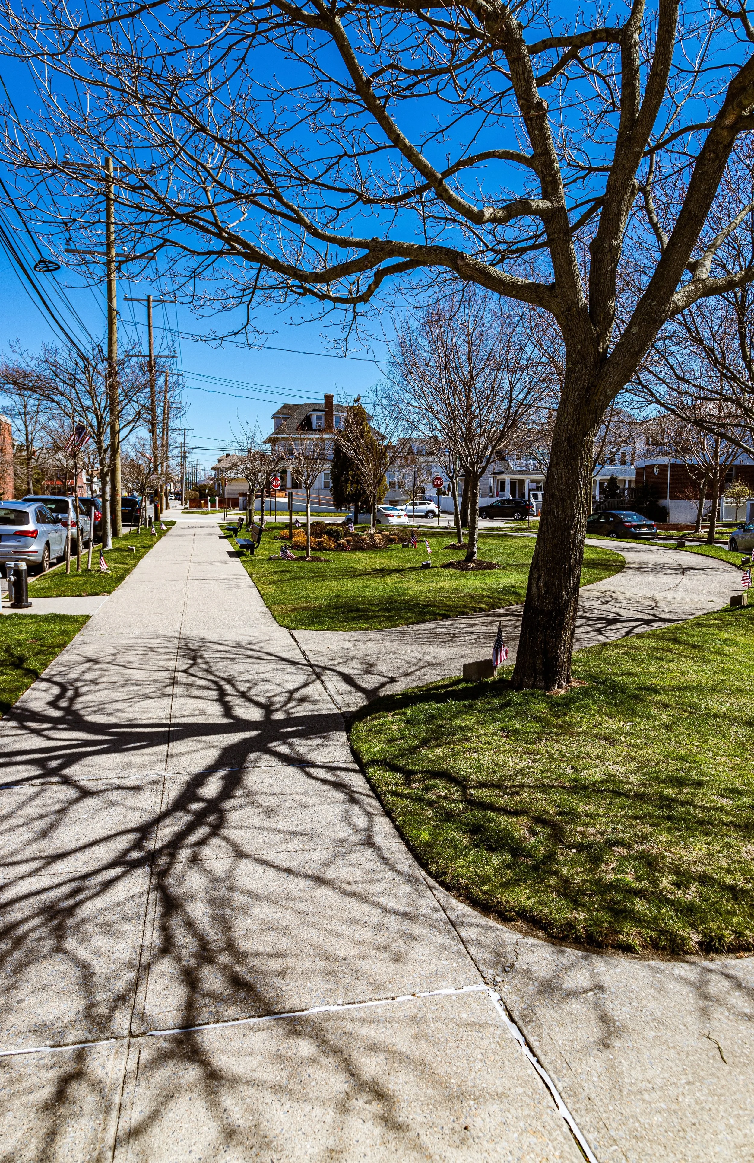 A sidewalk in a neighborhood with leafless trees casting shadows, green grass, parked cars, houses in the background, and a clear blue sky.