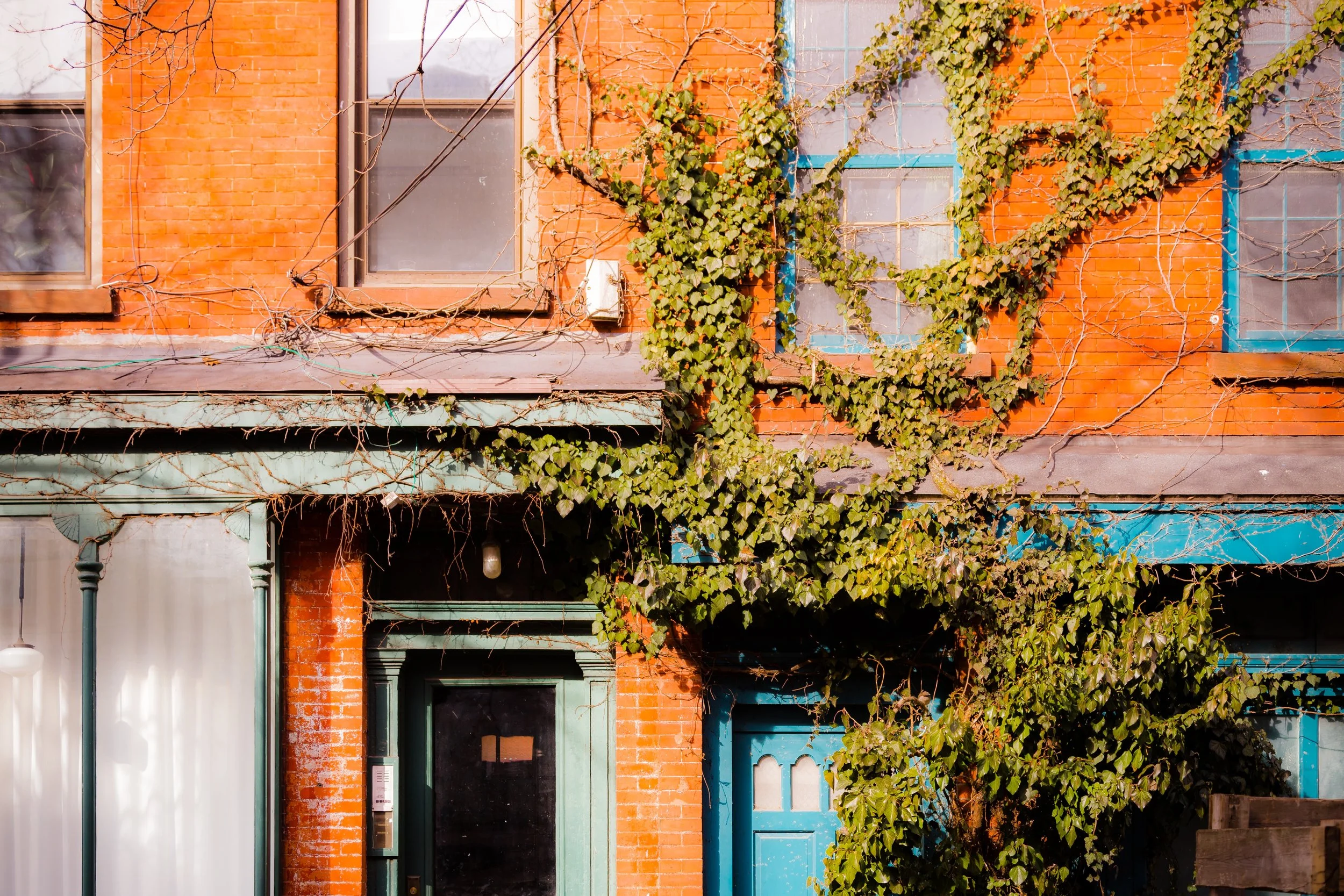 Red brick building with green and blue window frames, some covered in climbing ivy, and a white curtain beside a green door.