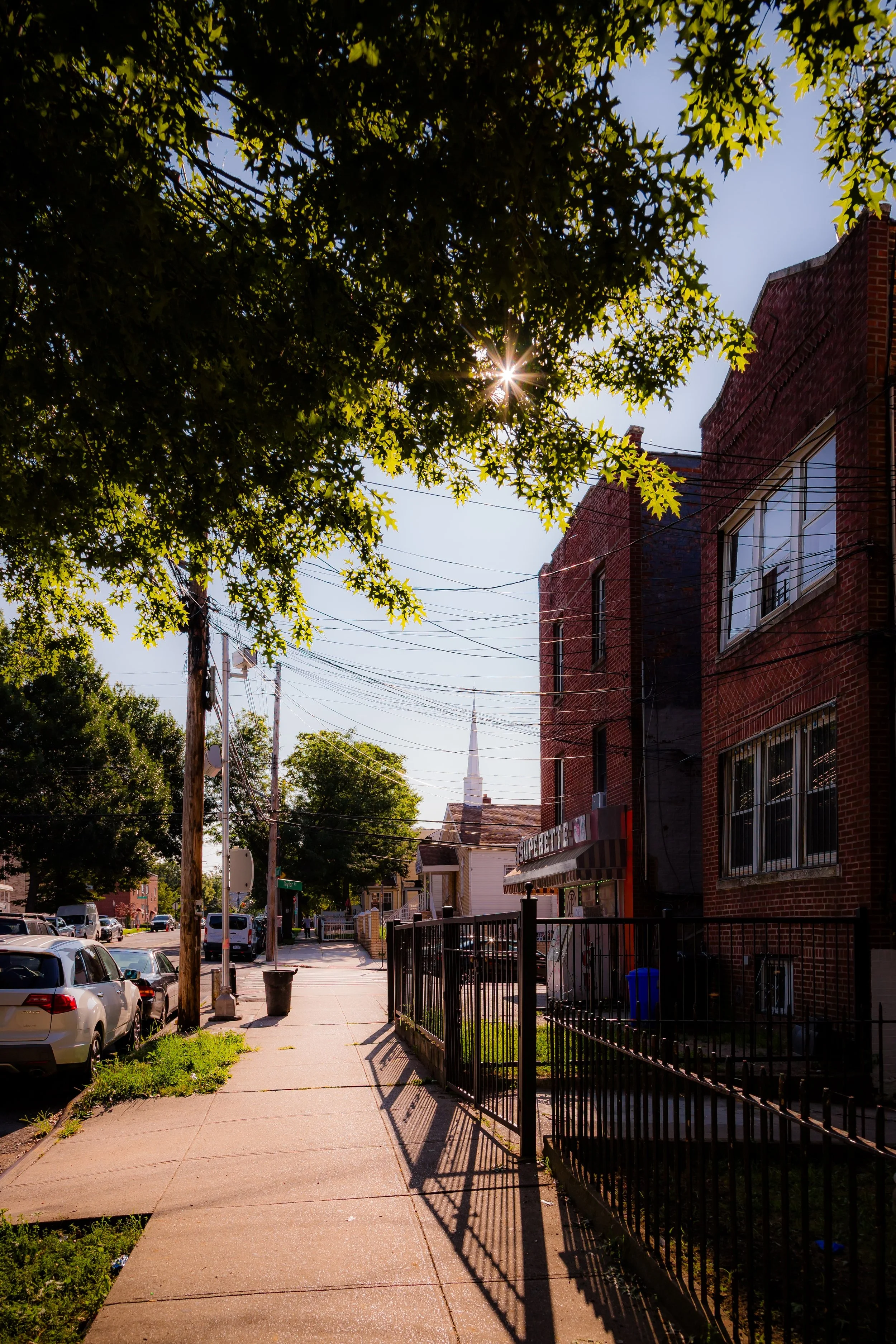 A city sidewalk scene with parked cars, trees, and buildings, including a superette store. Sunlight filters through tree leaves, casting shadows on the sidewalk.