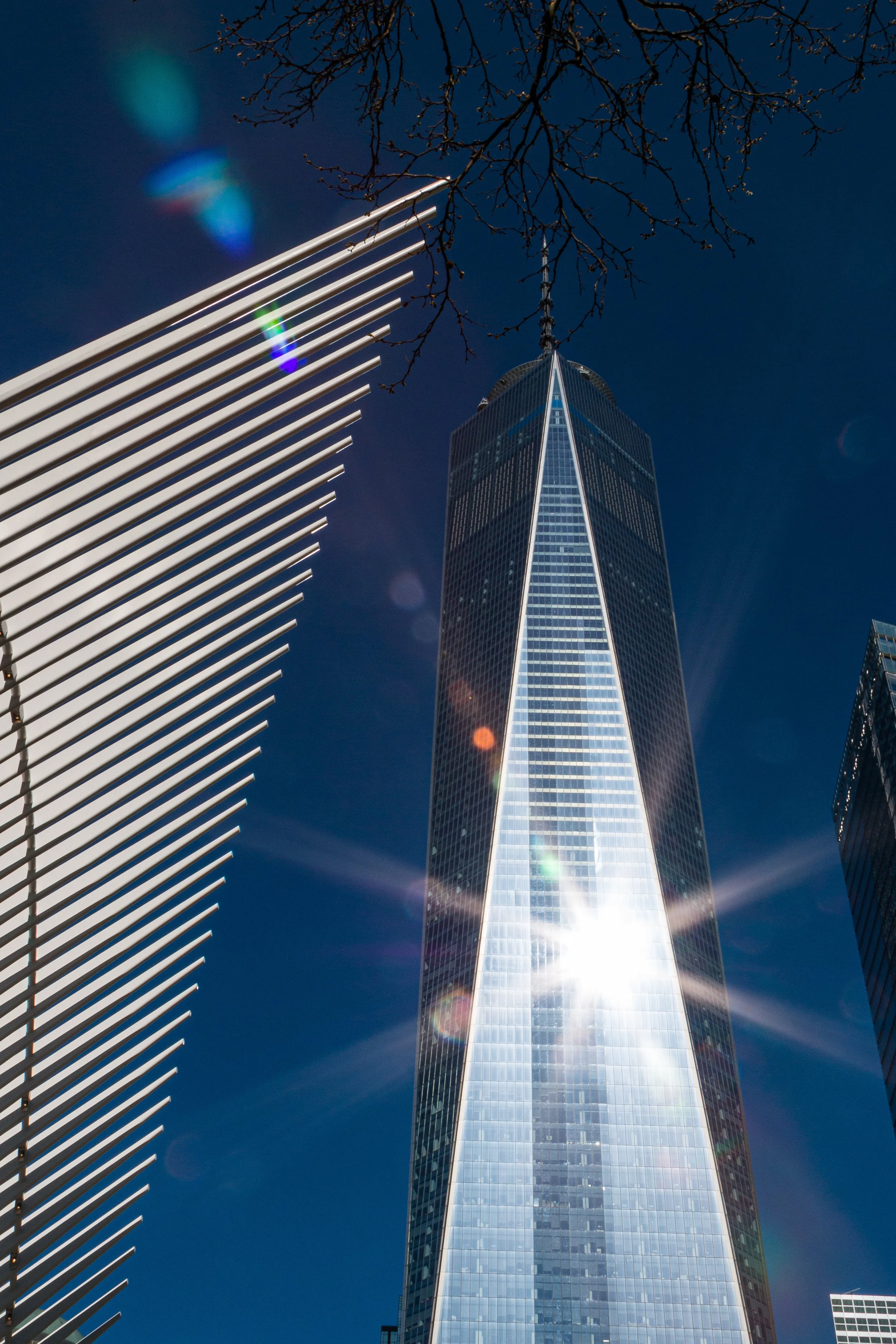 View of One World Trade Center in New York City from below, with blue sky and sunlight reflecting off the building's glass facade. Other modern skyscrapers and leafless tree branches are visible around.