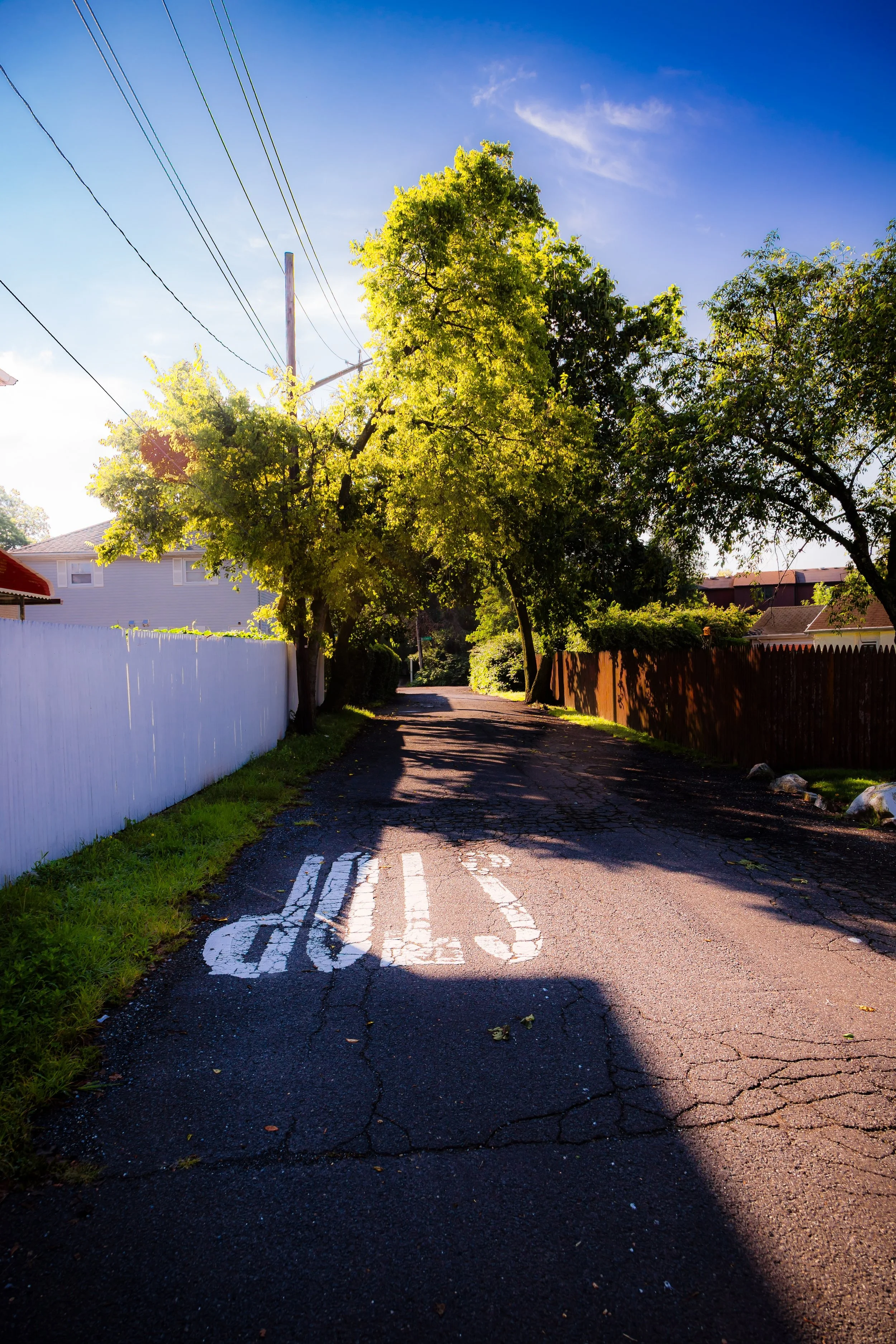 A residential street with trees lining both sides, a white and a brown fence, and a street painting indicating a stop or yield.