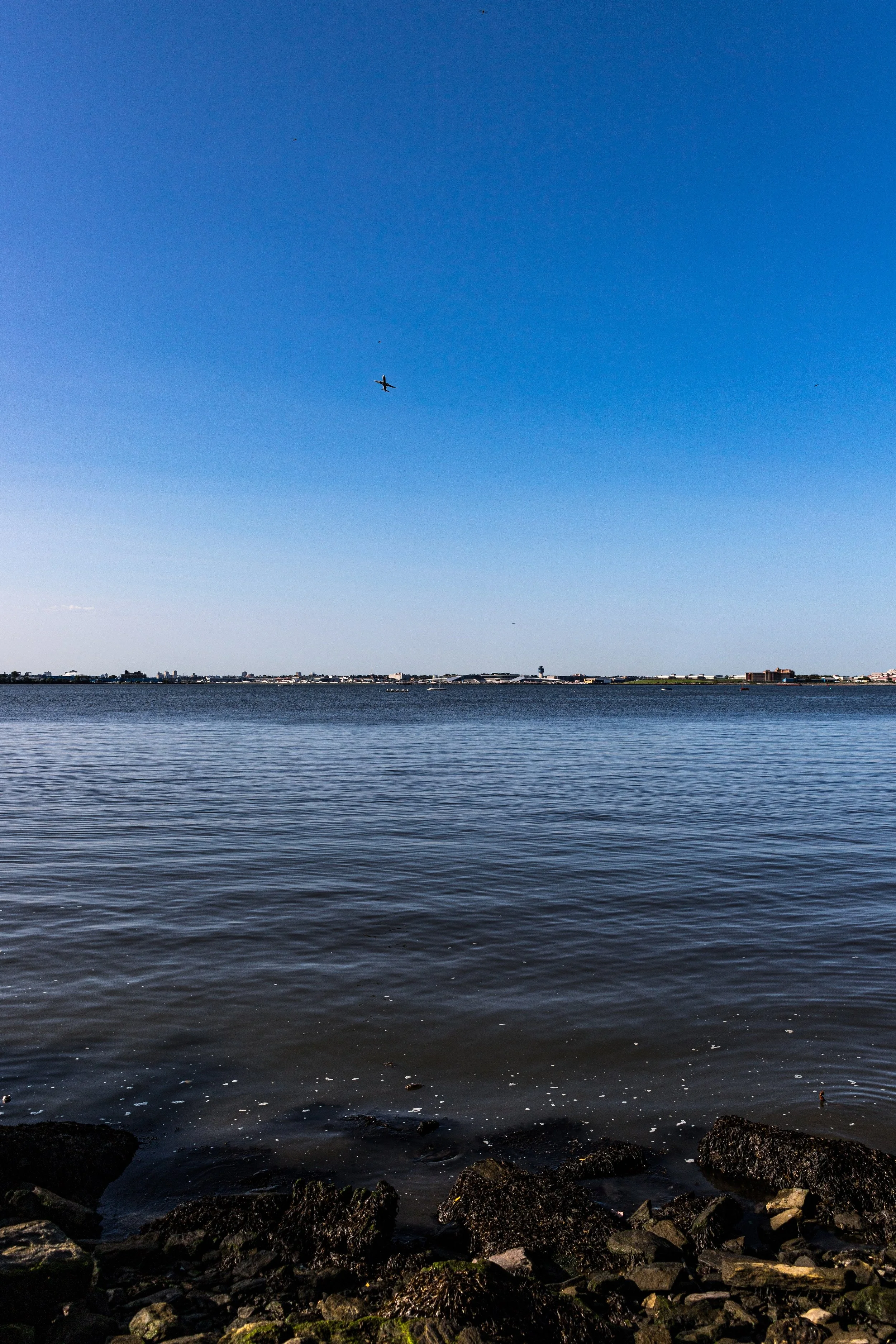 View of a large body of water with rocks at the shoreline in the foreground and a city skyline in the distance. A small airplane is flying in a clear blue sky.