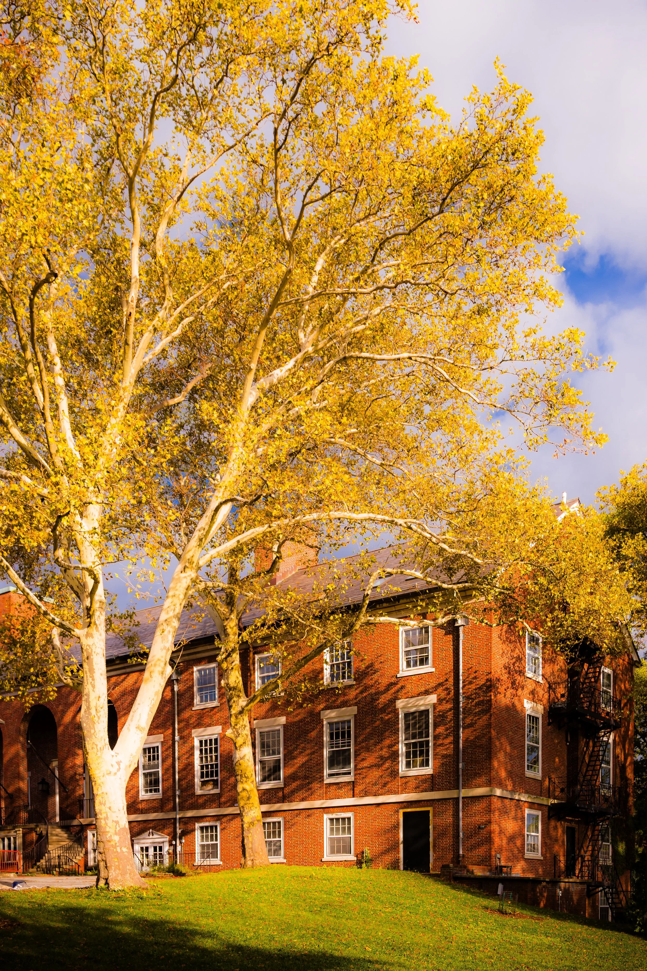 A brick residential building with multiple windows, surrounded by trees with yellow leaves and a grassy lawn, under a cloudy sky.