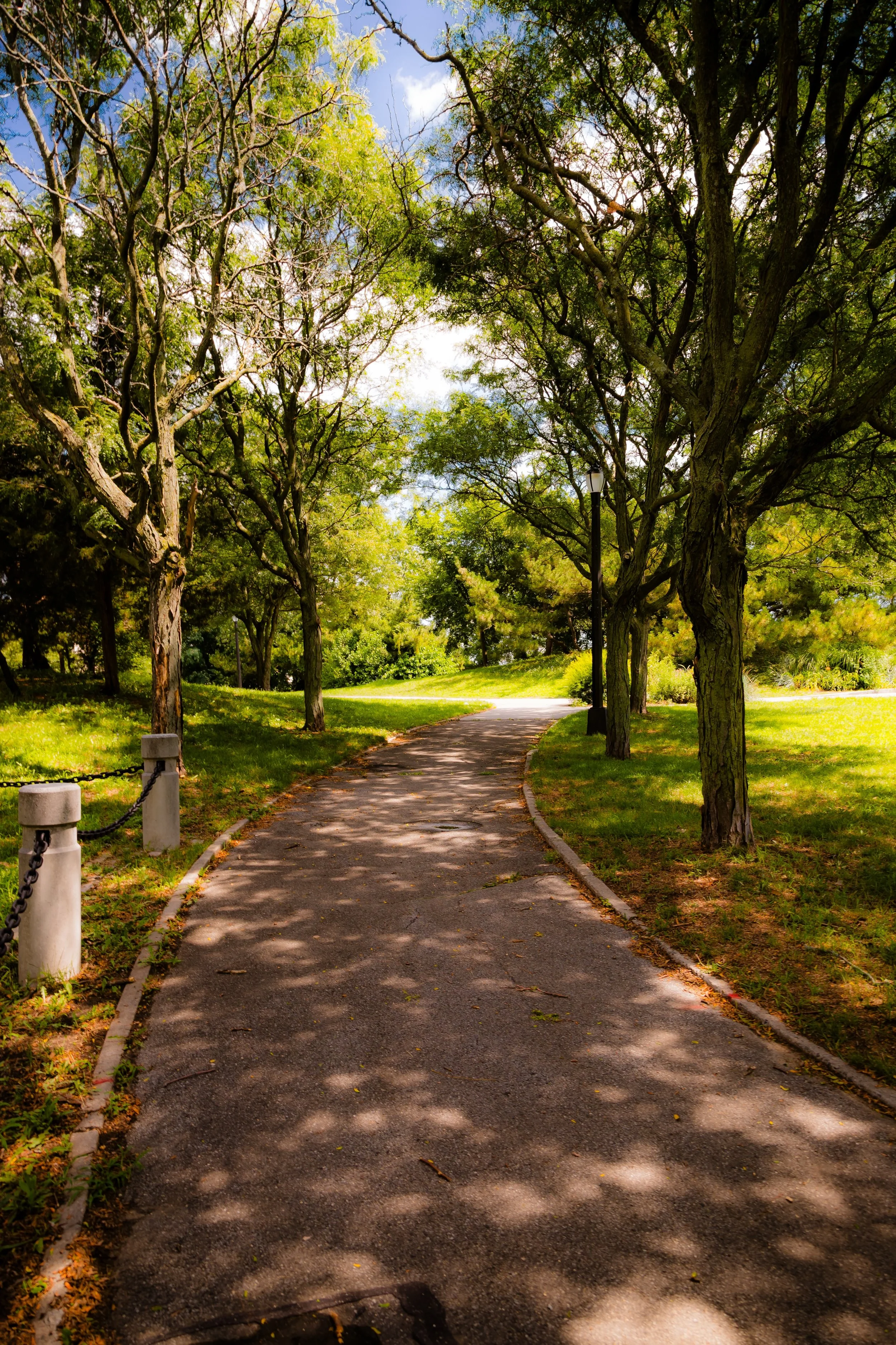 A paved pathway winding through a lush, green park with tall trees on both sides, some casting dappled shadows on the ground, under a partly cloudy sky.