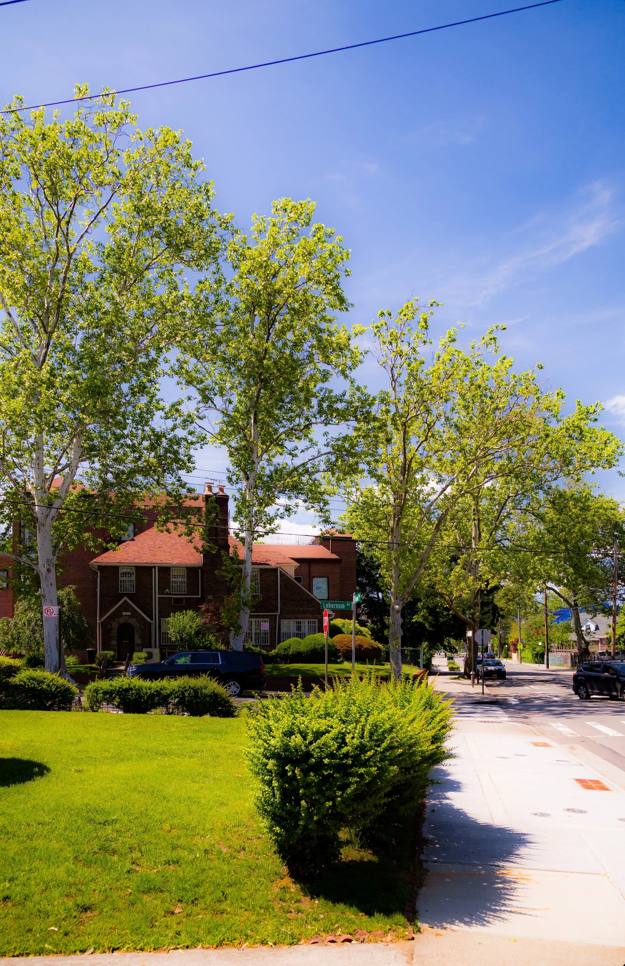 Residential neighborhood with brick house, green trees, bushes, parked cars, and street signs on a sunny day.