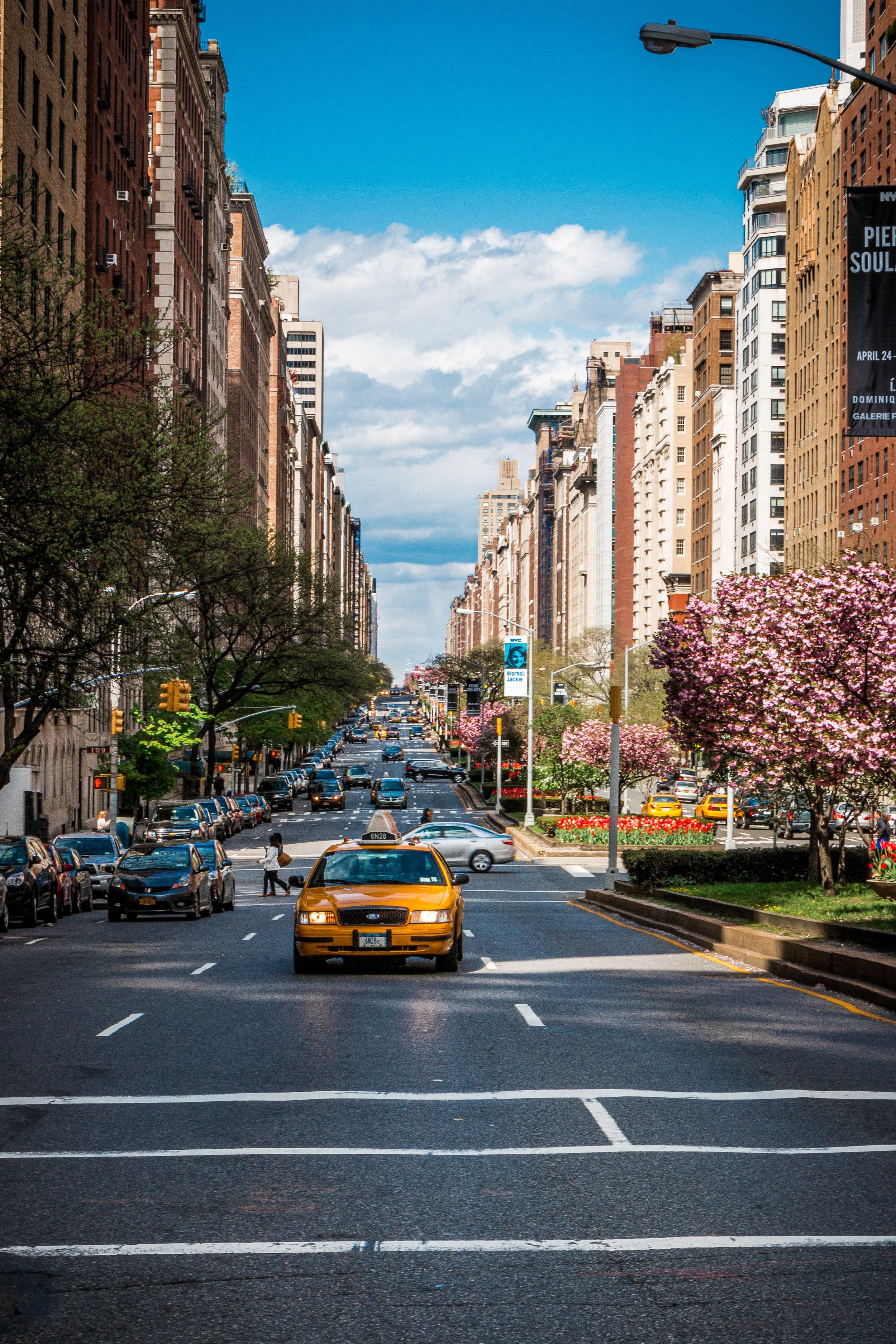 City street with yellow taxi, cars, pedestrians, trees with pink blossoms, and tall buildings on a sunny day.