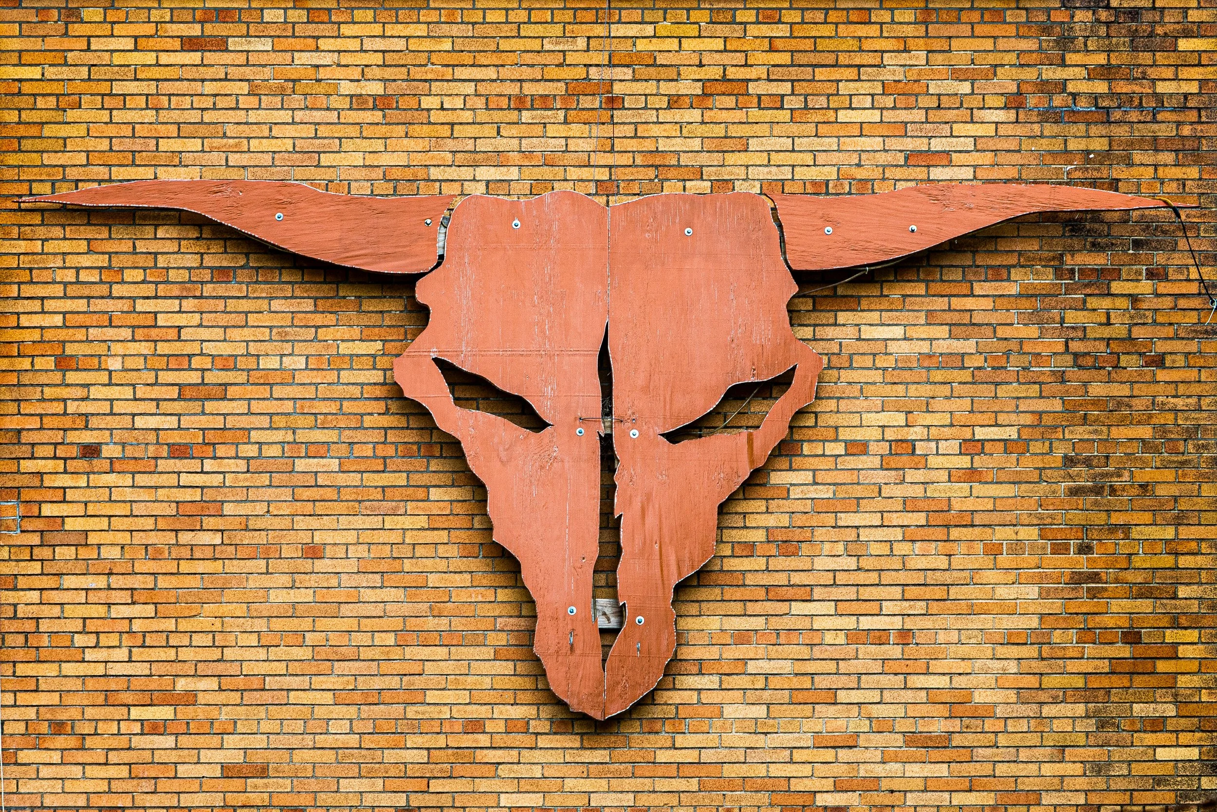 A large wooden bull skull with long horns mounted on a brick wall.