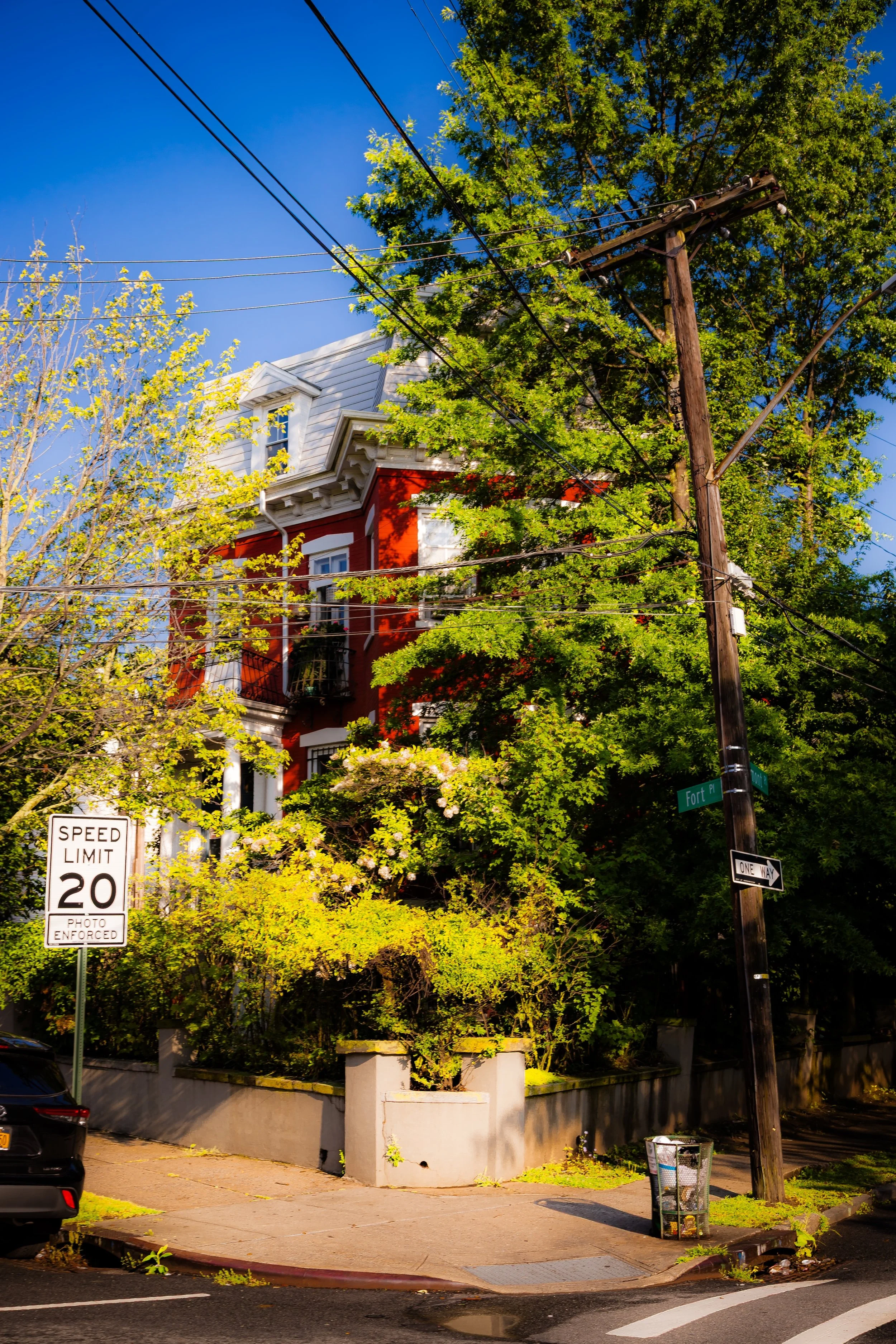 A red Victorian-style house partially hidden behind dense green trees on a sunny day, with street signs, a speed limit sign, power lines, and a trash can visible in the foreground.