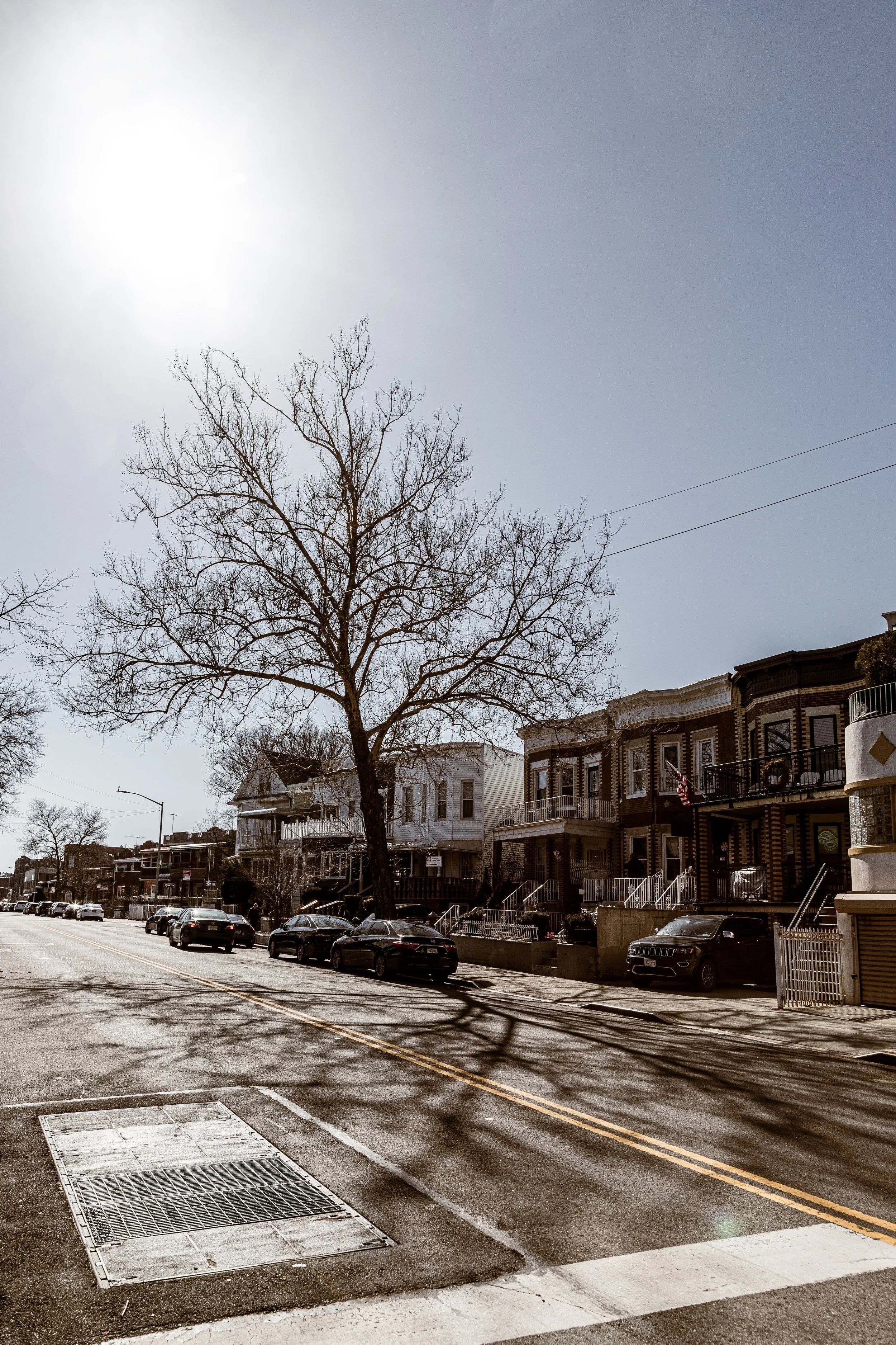 A quiet urban street with parked cars, a leafless tree casting shadows, and brick row houses on a sunny day.