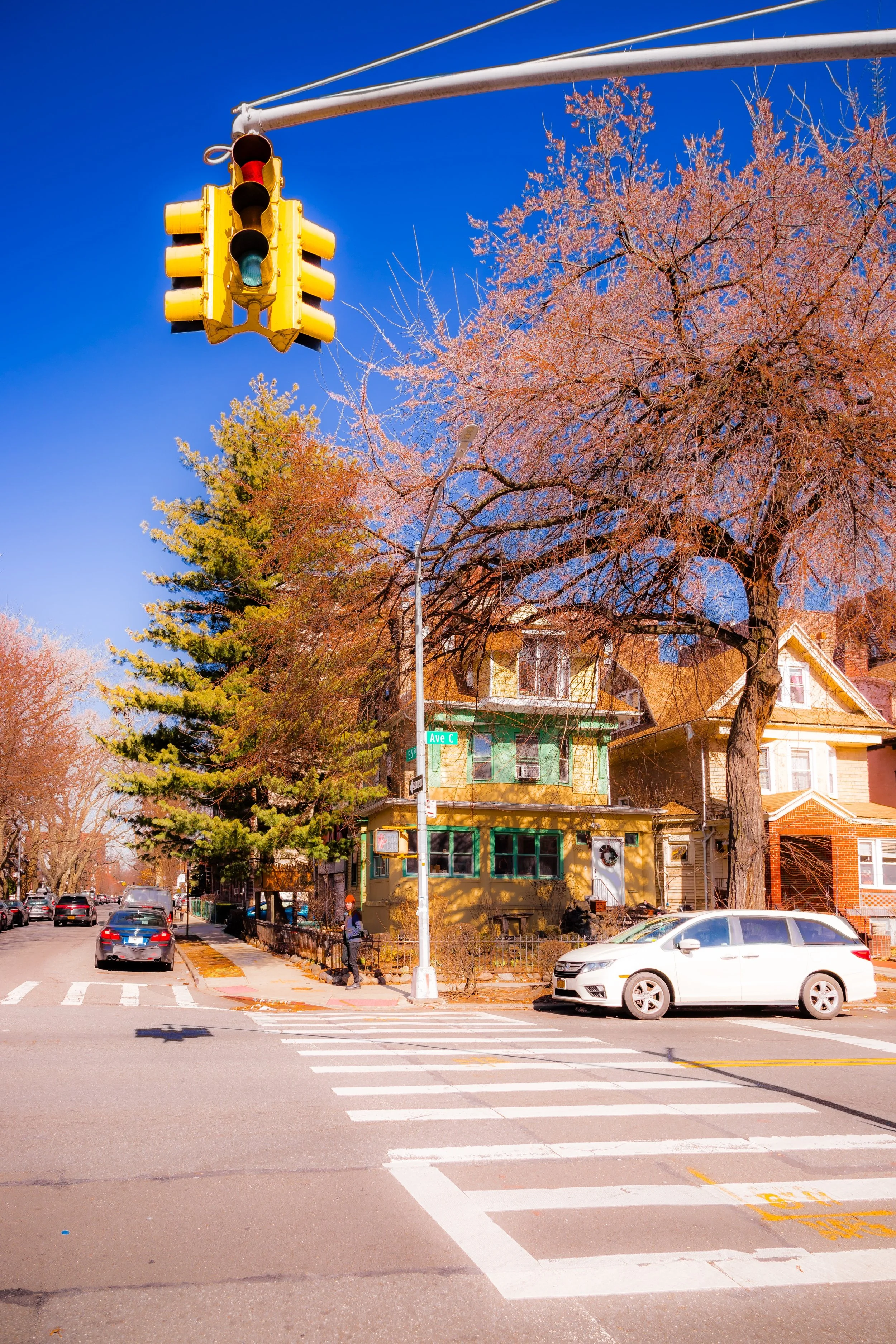 Street scene with a yellow traffic light, residential houses, leafless trees with pinkish leaves, parked cars, a pedestrian, and street signs at an intersection under a blue sky.