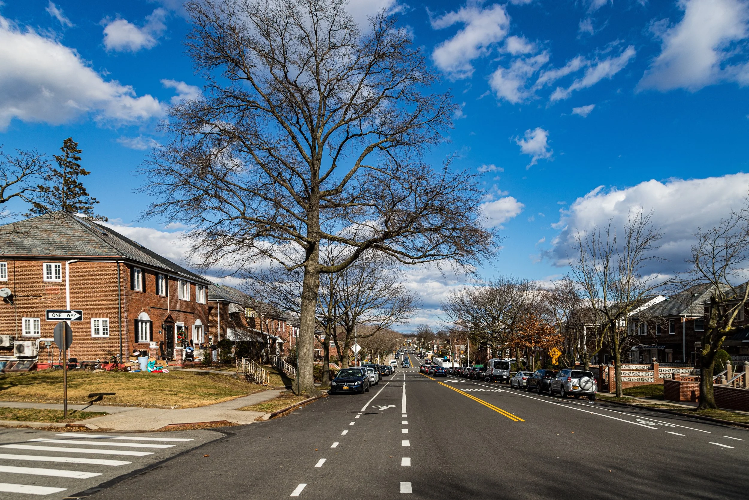 A residential street with parked cars on both sides, leafless trees lining the sidewalk, and a large tree in the center of the street under a partly cloudy blue sky.