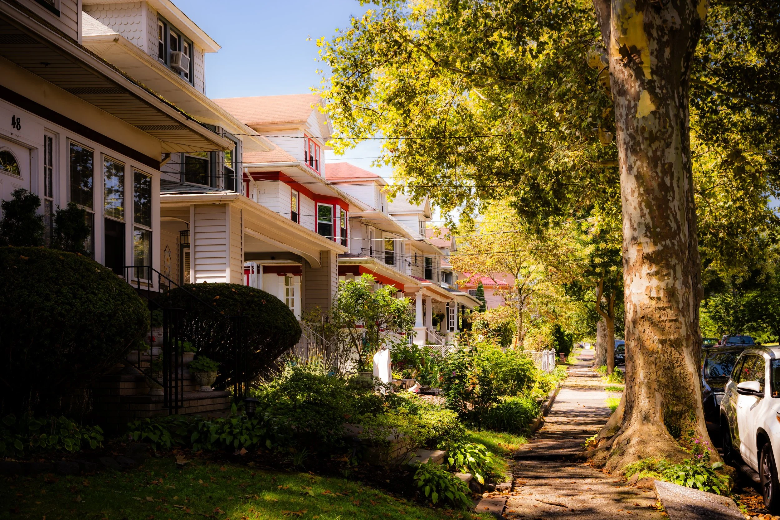 Residential neighborhood with row of houses, lush green trees, and parked cars on the street on a sunny day.