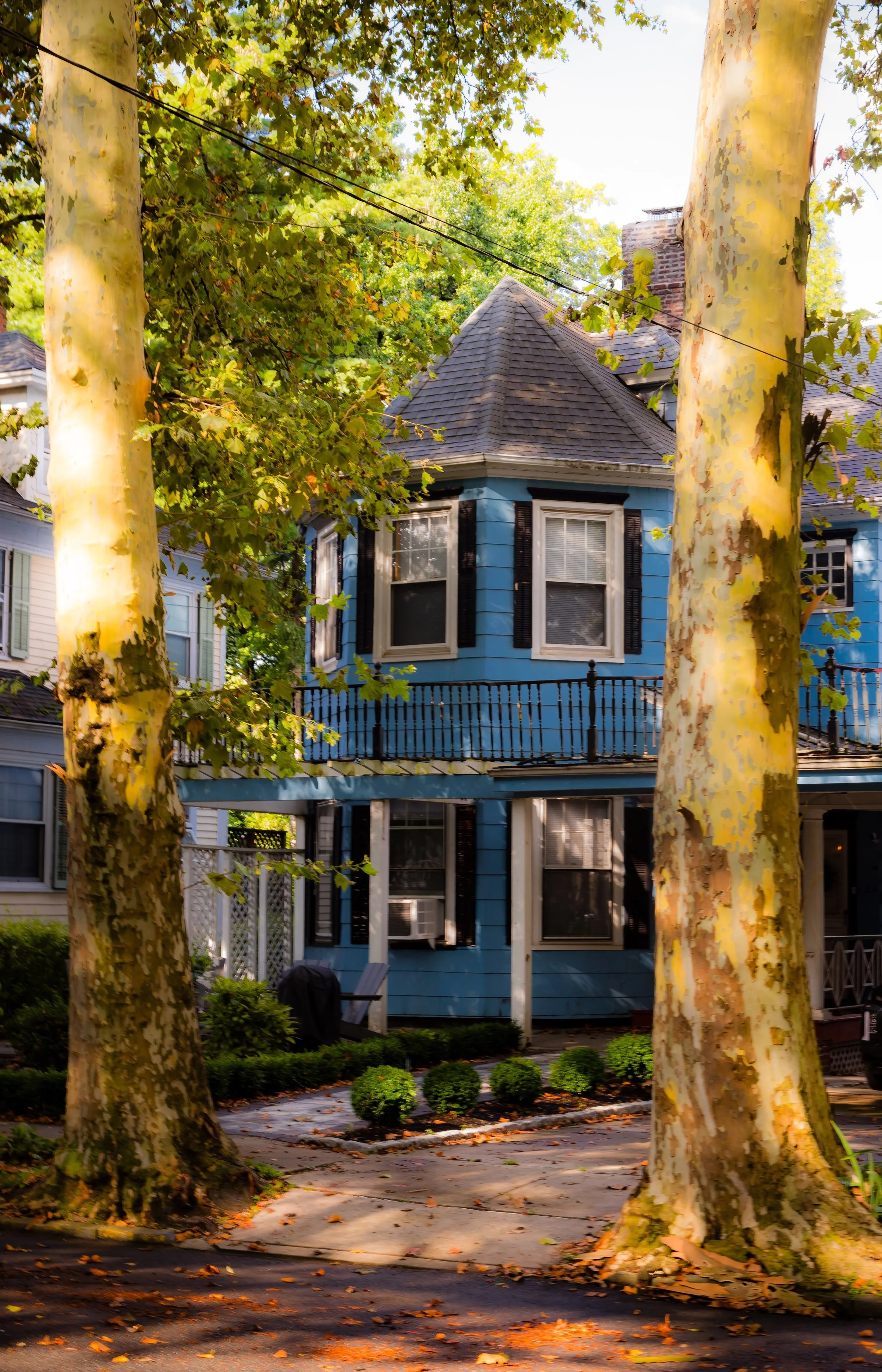 Blue house with black shutters, two-story, stone walkway, surrounded by trees with green leaves, fallen leaves on the ground.