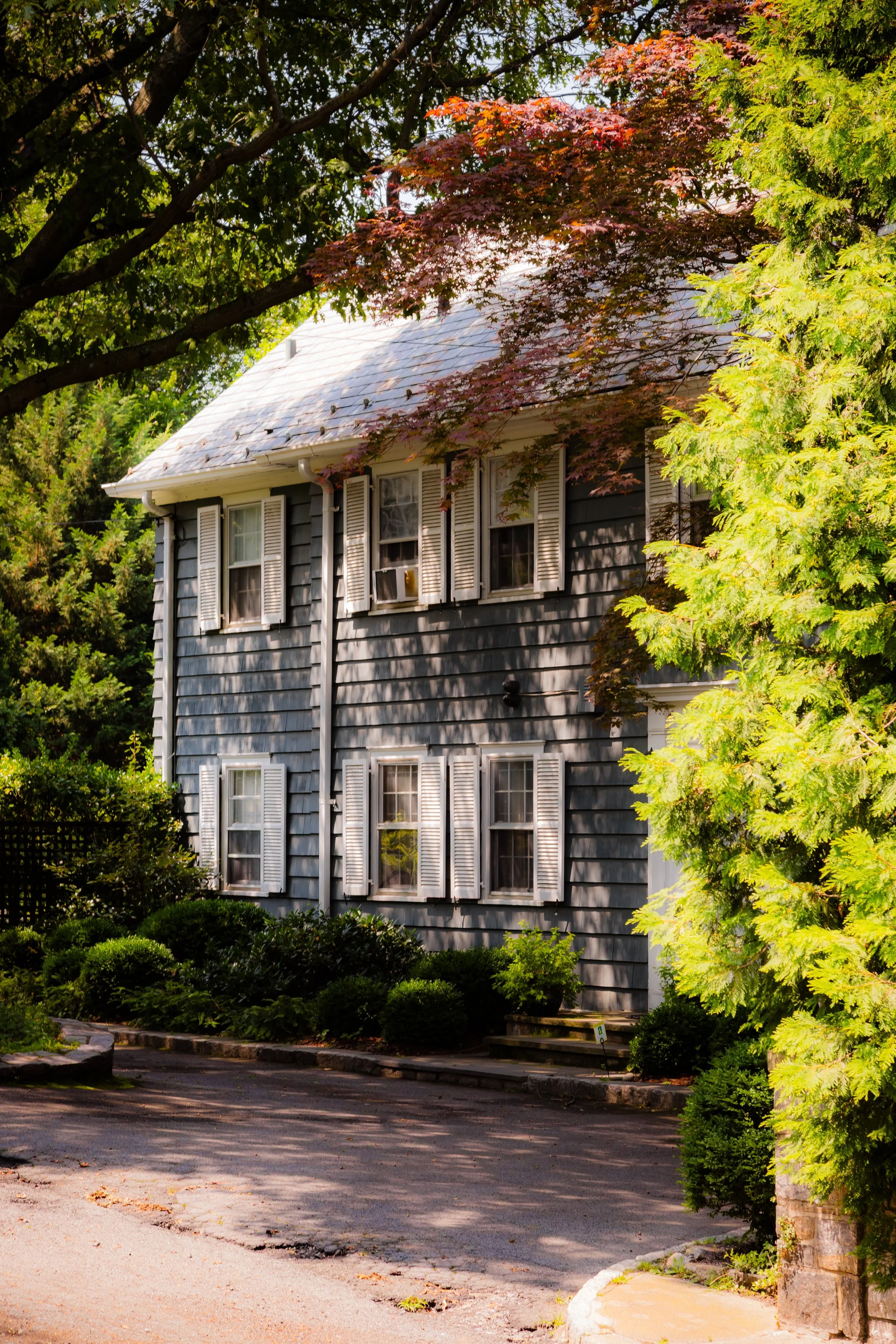 A two-story house with gray siding and white shutters, surrounded by green trees and bushes, with a driveway in the front.