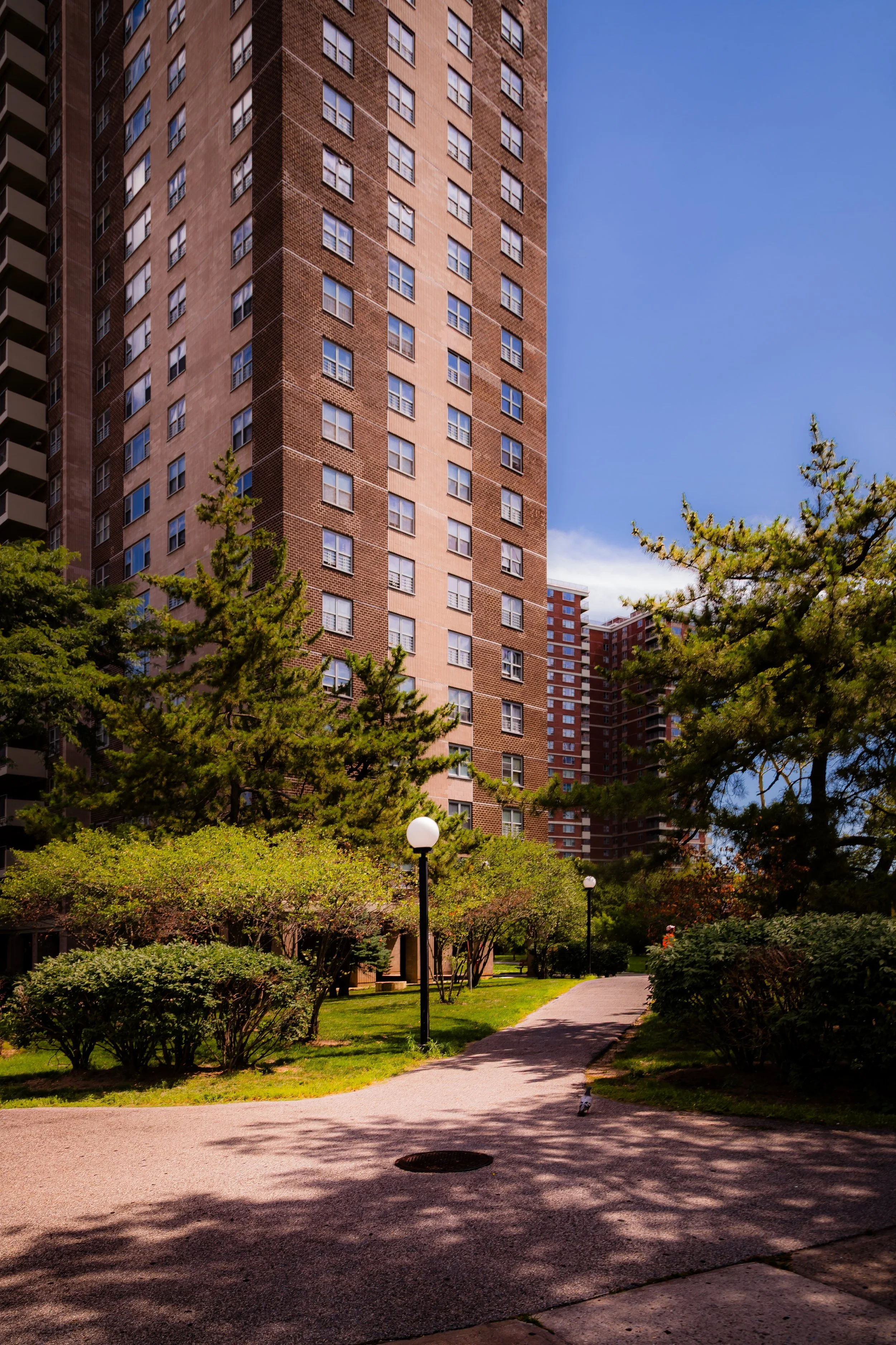 Tall residential building with multiple windows, surrounded by green trees, bushes, and lampposts on a sunny day with blue sky.