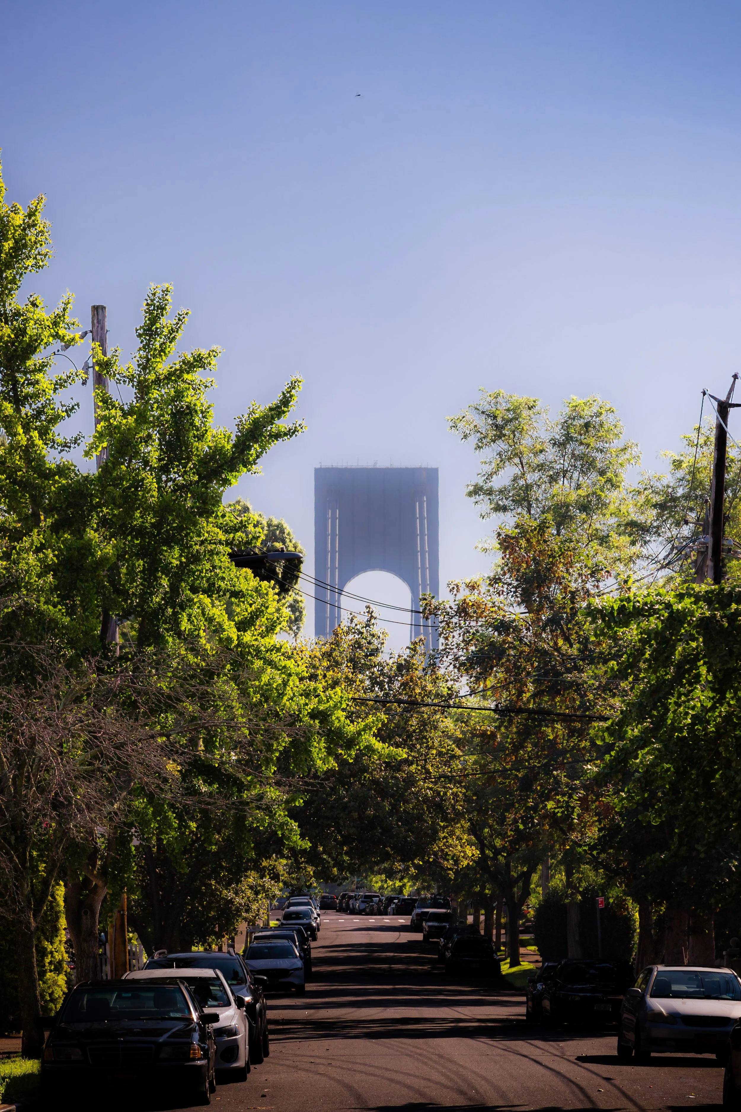 Street lined with parked cars and green trees, with a tall, arched skyscraper visible in the distance beneath a clear blue sky.