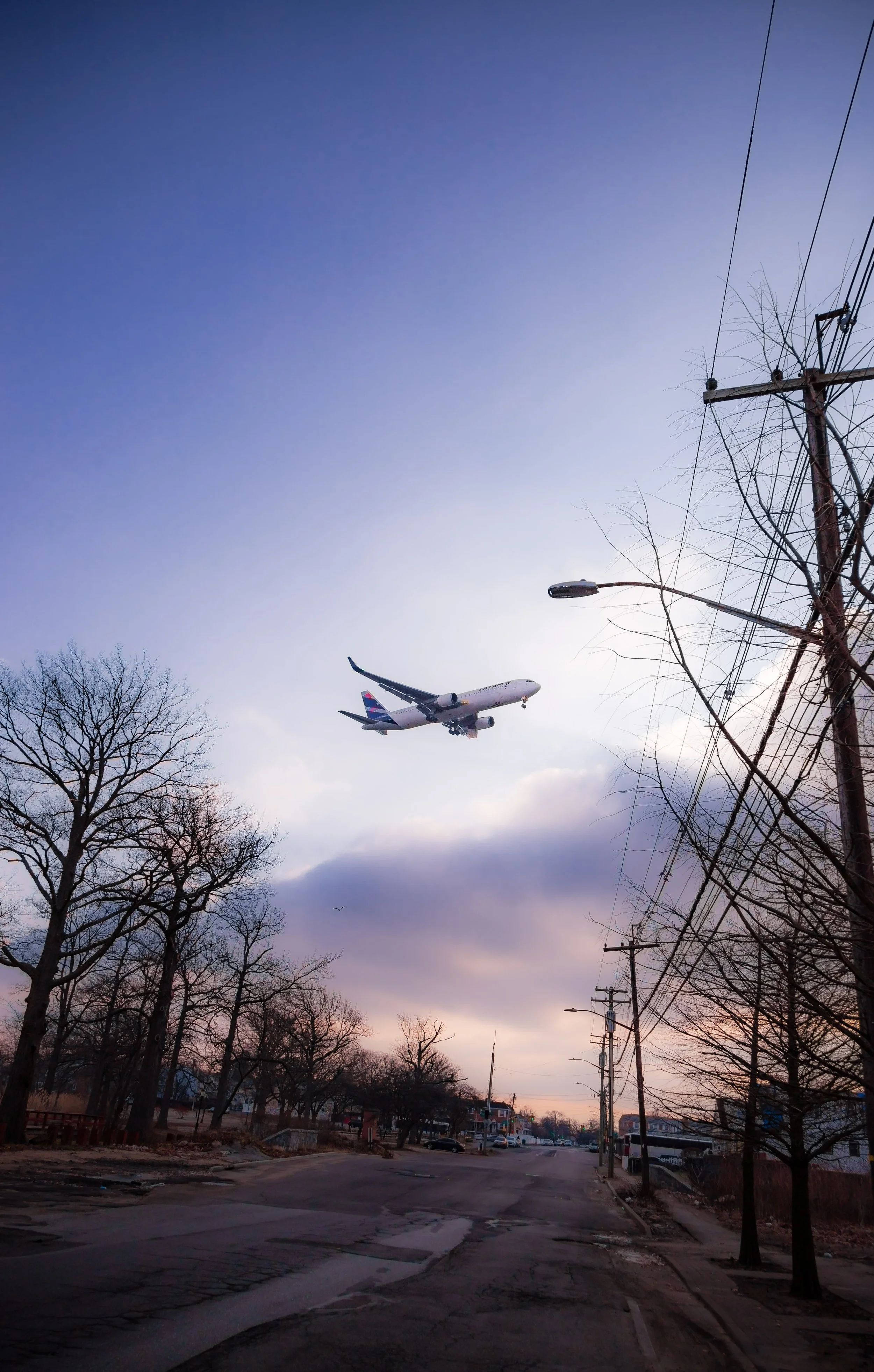 An airplane flying low in the sky over a street with leafless trees and utility poles during sunset or sunrise.