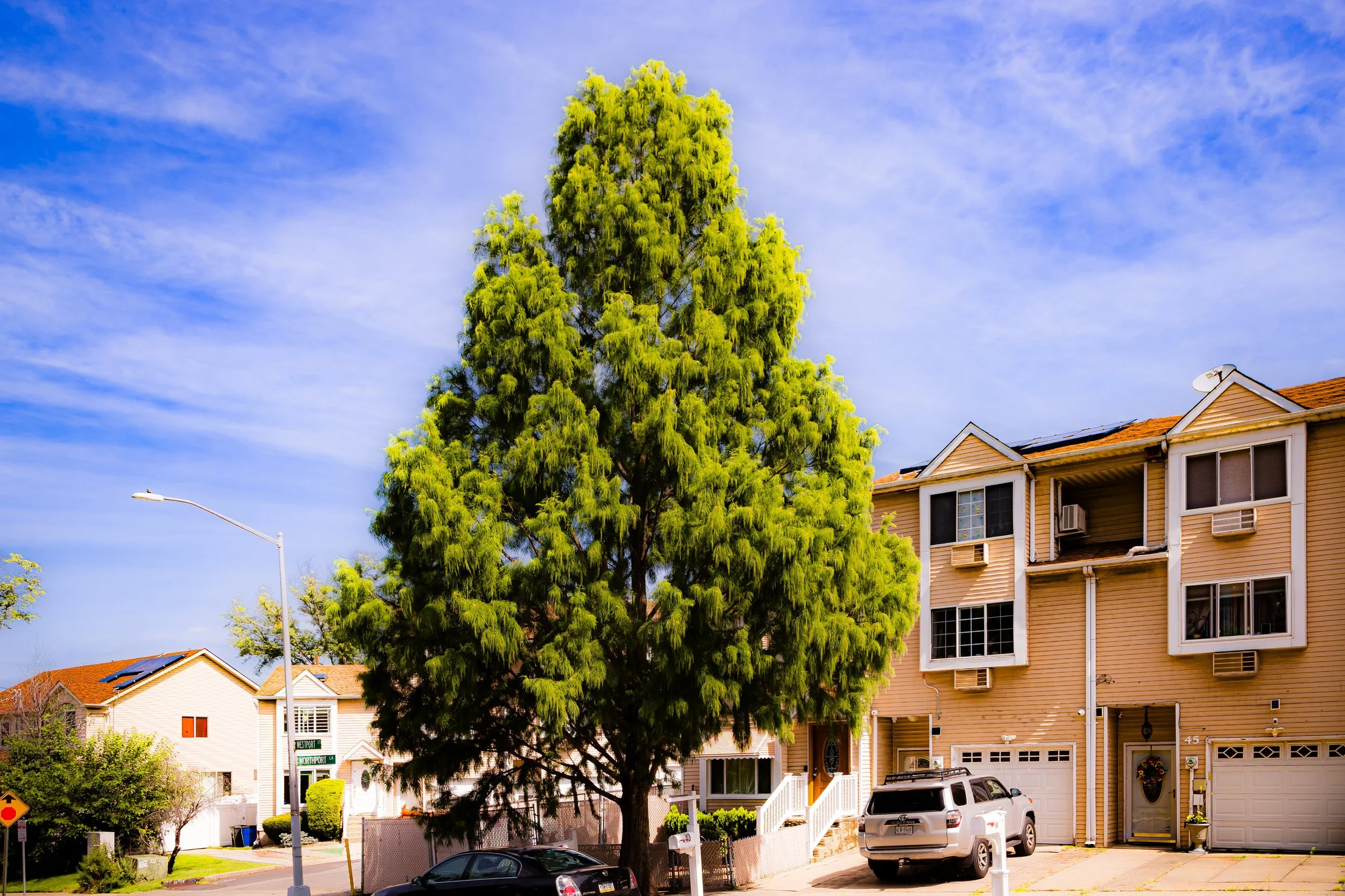 A large green leafy tree in front of a beige townhouse with multiple windows, parking area, and a white SUV parked in front.