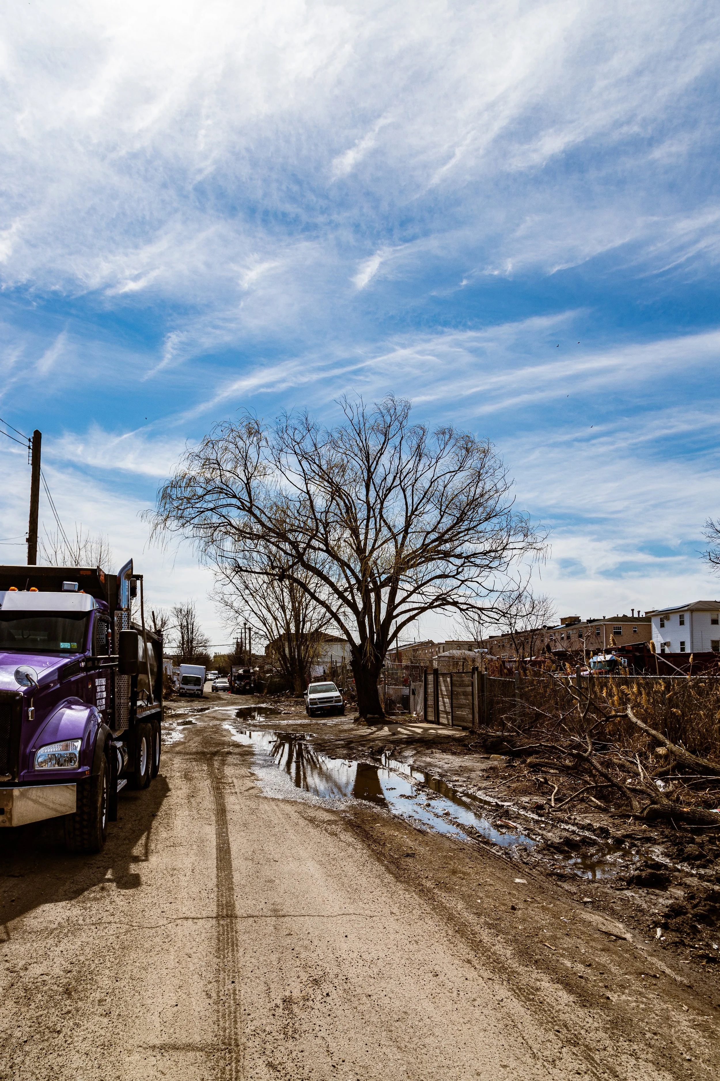 A muddy street with puddles, a large leafless tree in the center, fallen branches on the ground, a semi-truck on the left, and residential buildings in the background under a partly cloudy sky.