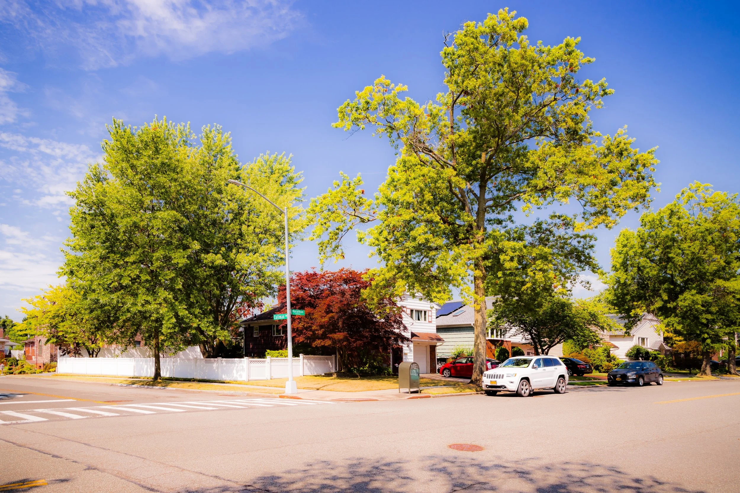A suburban street view with large green trees, some houses partially visible, parked cars, and a clear blue sky.