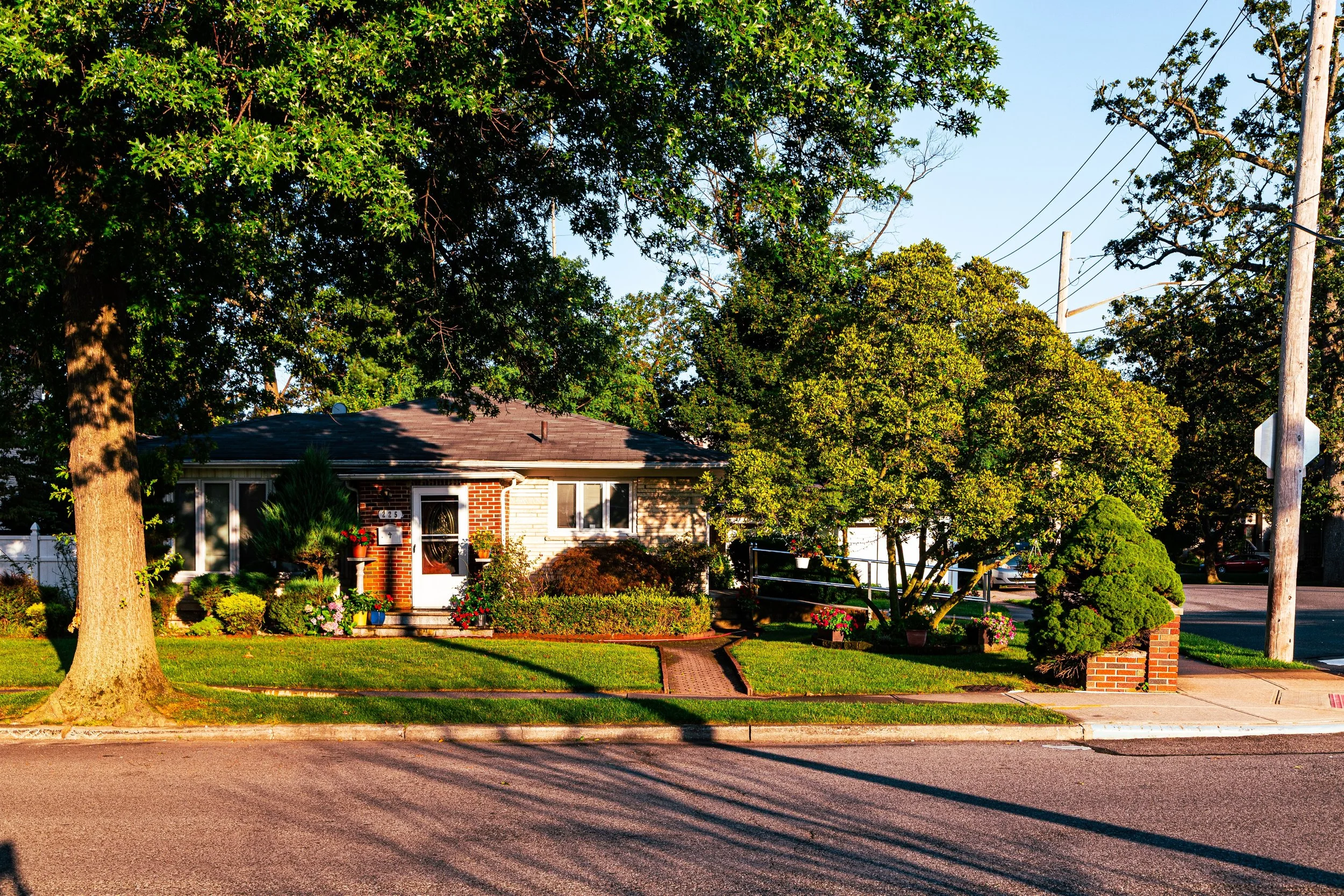 A house with a well-maintained front yard, surrounded by large green trees and shrubs, with a brick walkway leading to the front door, in a suburban neighborhood during daytime.