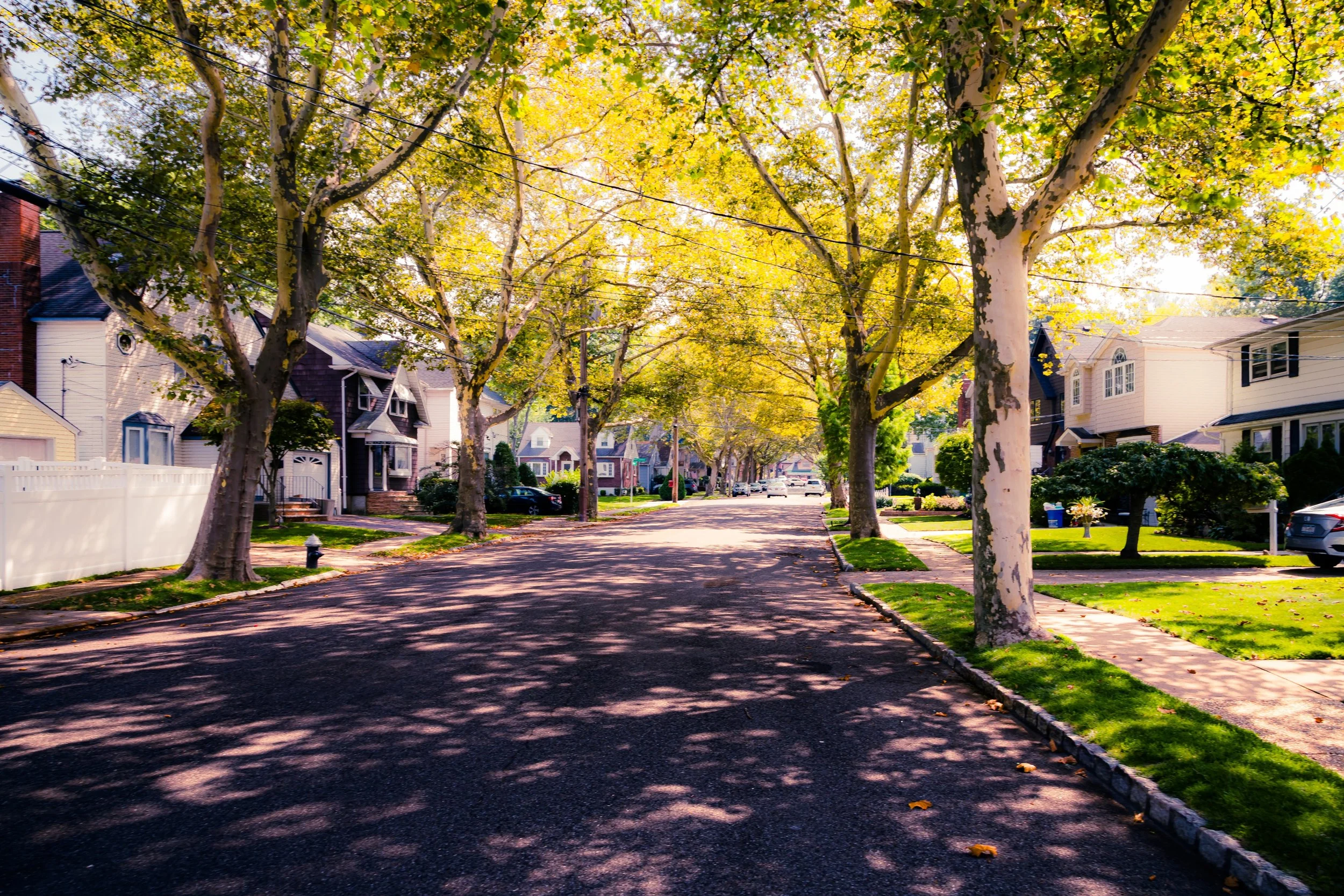 A quiet suburban street lined with large trees casting shadows on the asphalt road and sidewalk, with colorful houses and manicured lawns on both sides.