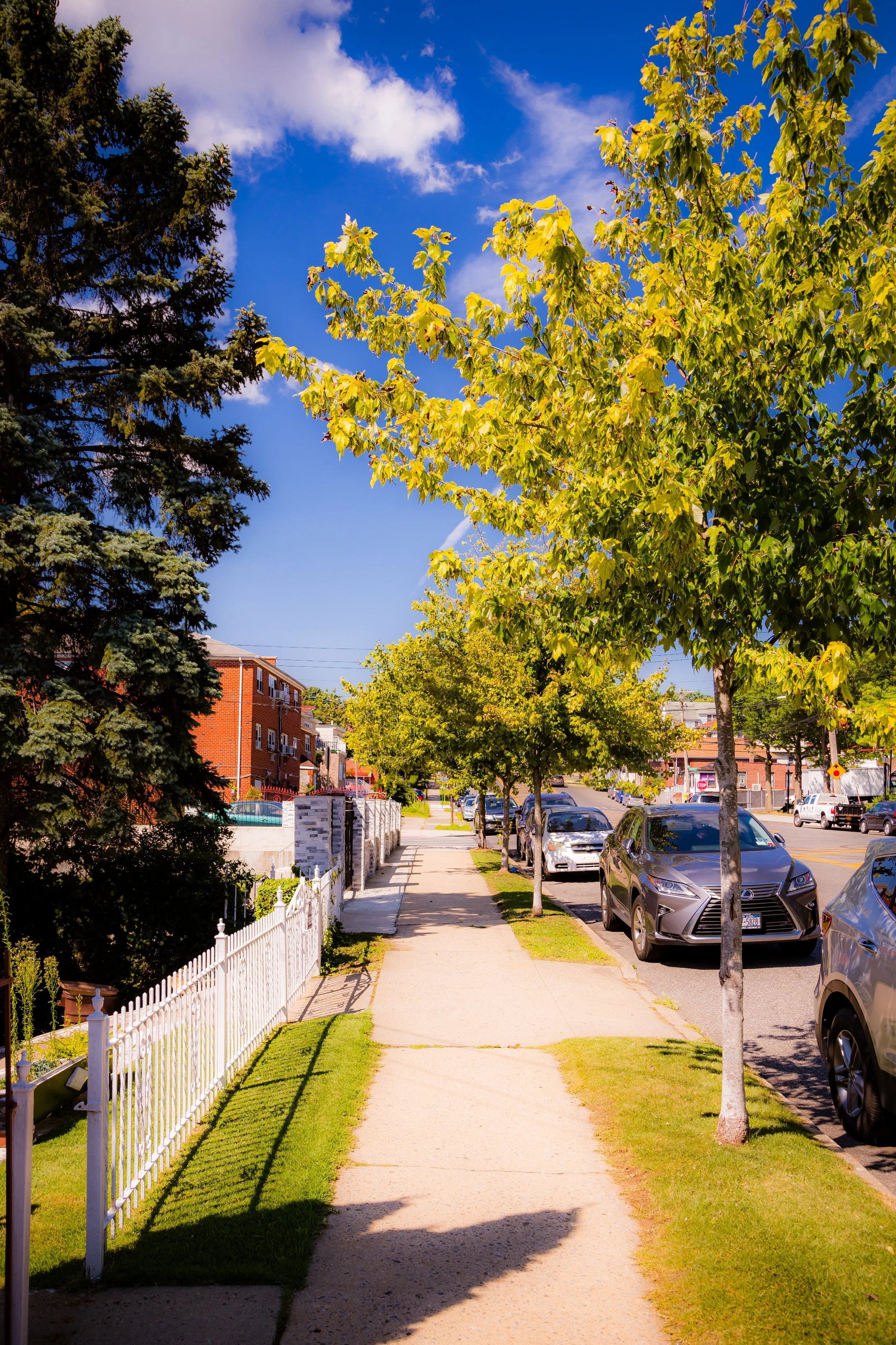 A sunny city sidewalk lined with green trees, parked cars on the street, and residential buildings under a bright blue sky with some clouds.