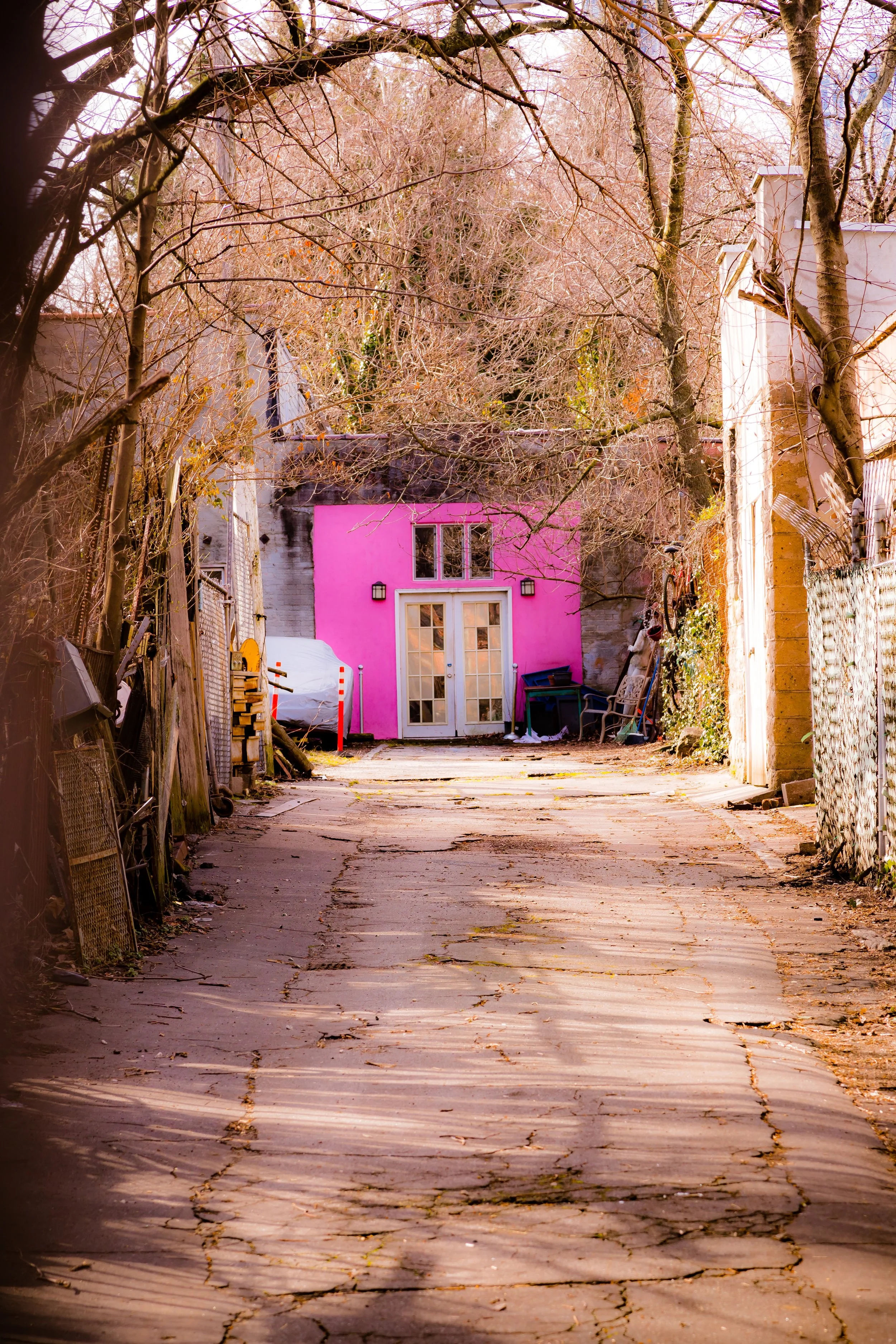 Back alley with cracked pavement, leafless trees, and a pink building with French doors and small windows at the end.
