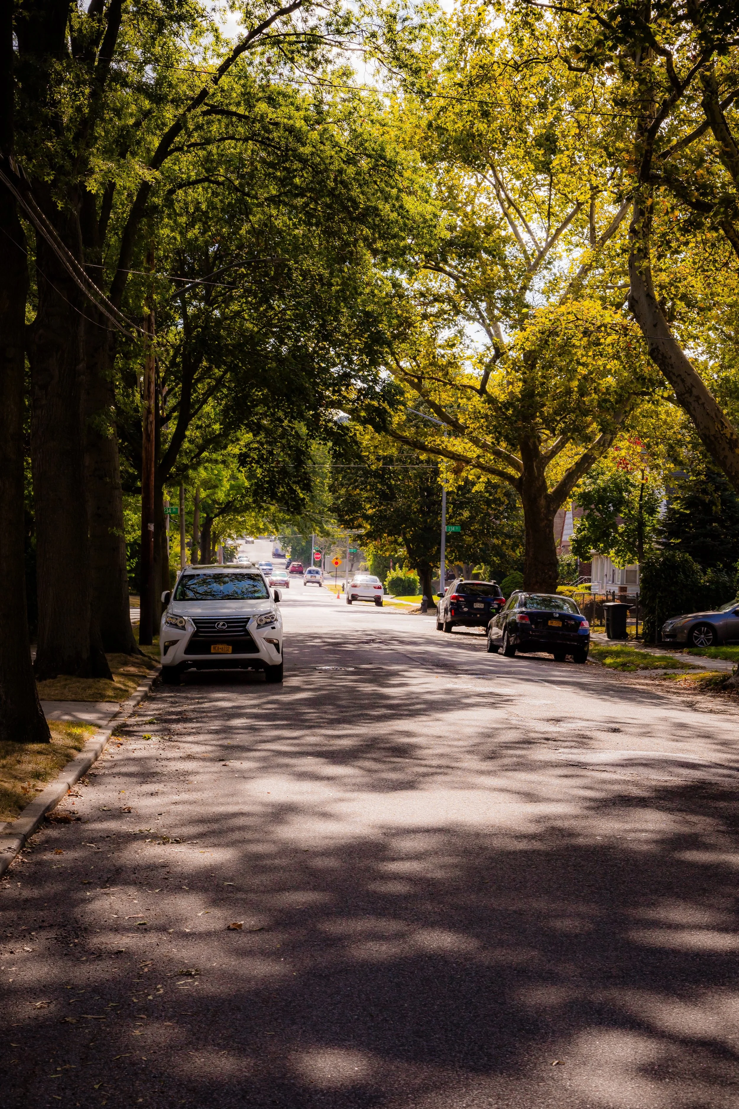 A quiet residential street lined with large leafy trees, parked cars on both sides, and shadows cast on the street by the trees, with houses partly visible on the right side.