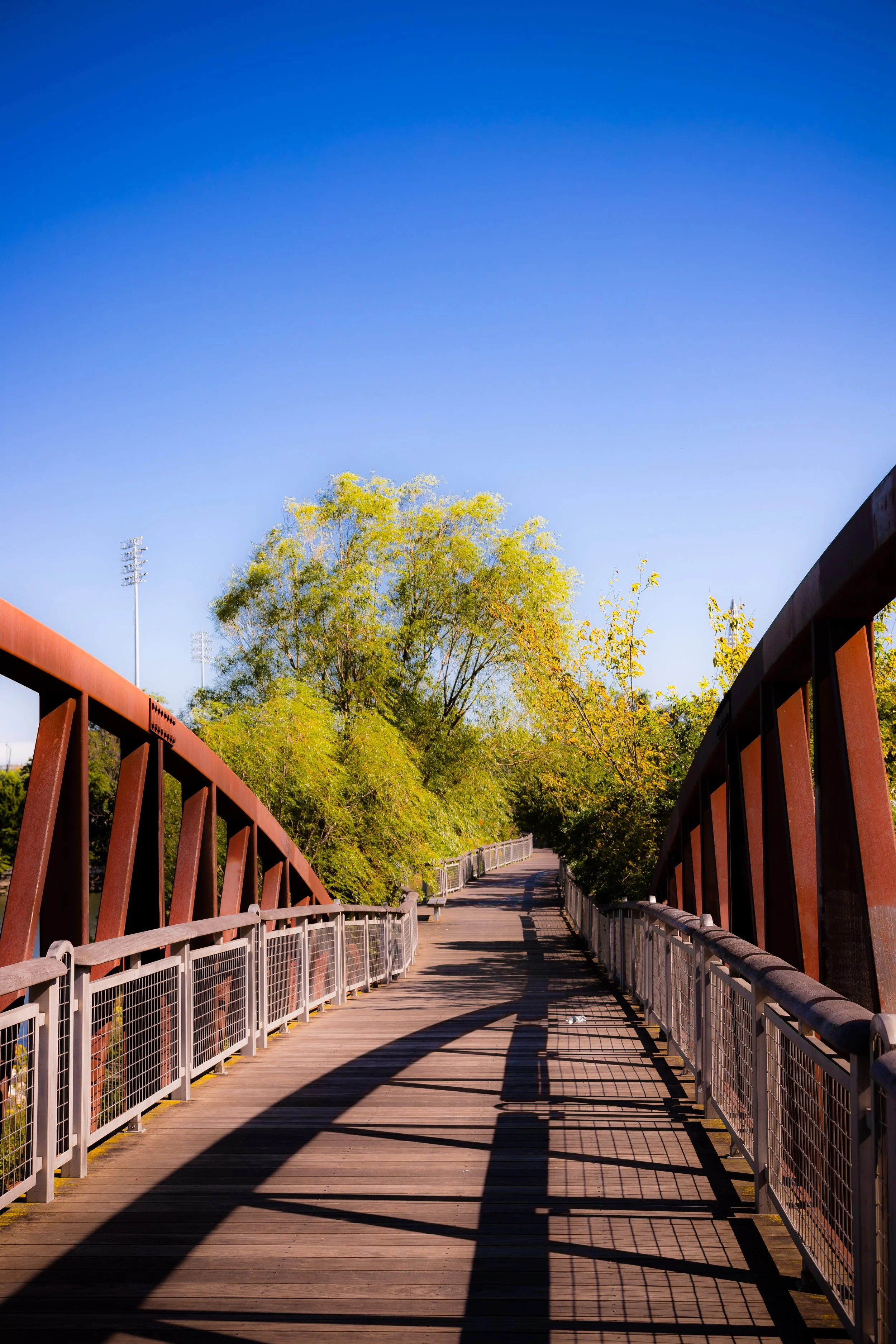 A wooden pedestrian bridge with metal railings under a clear blue sky, surrounded by green trees.