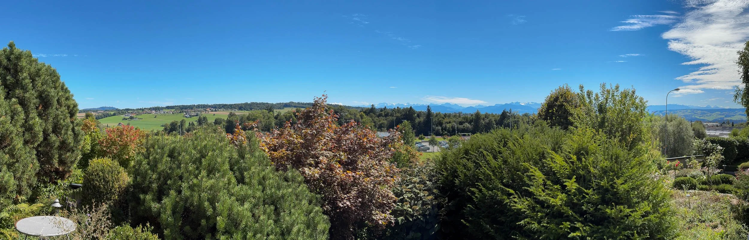 Blick auf eine grüne ländliche Landschaft mit Bäumen, Feldern und Bergen im Hintergrund unter einem blauen Himmel mit wenigen Wolken.