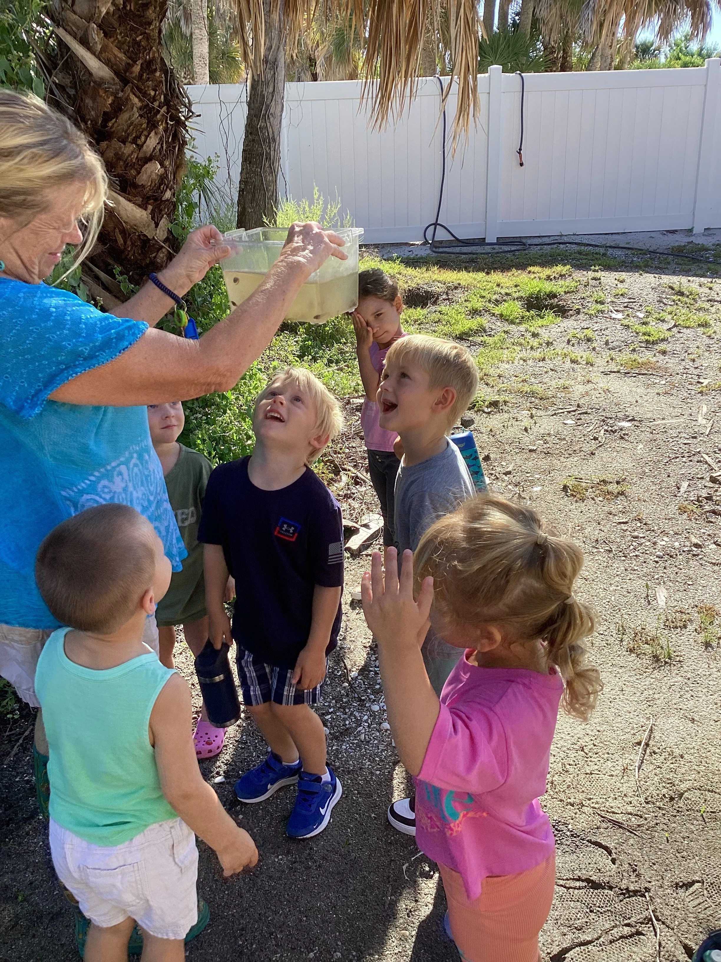 Exploring the World Through Wonder