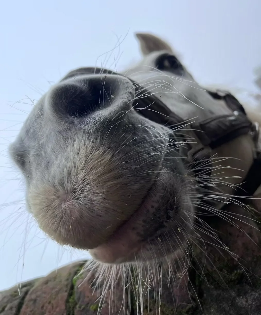 One of the residents