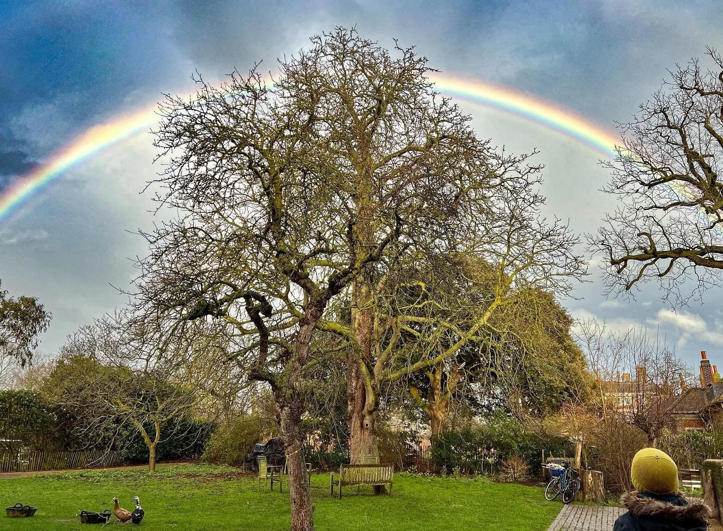 Open green space nearby