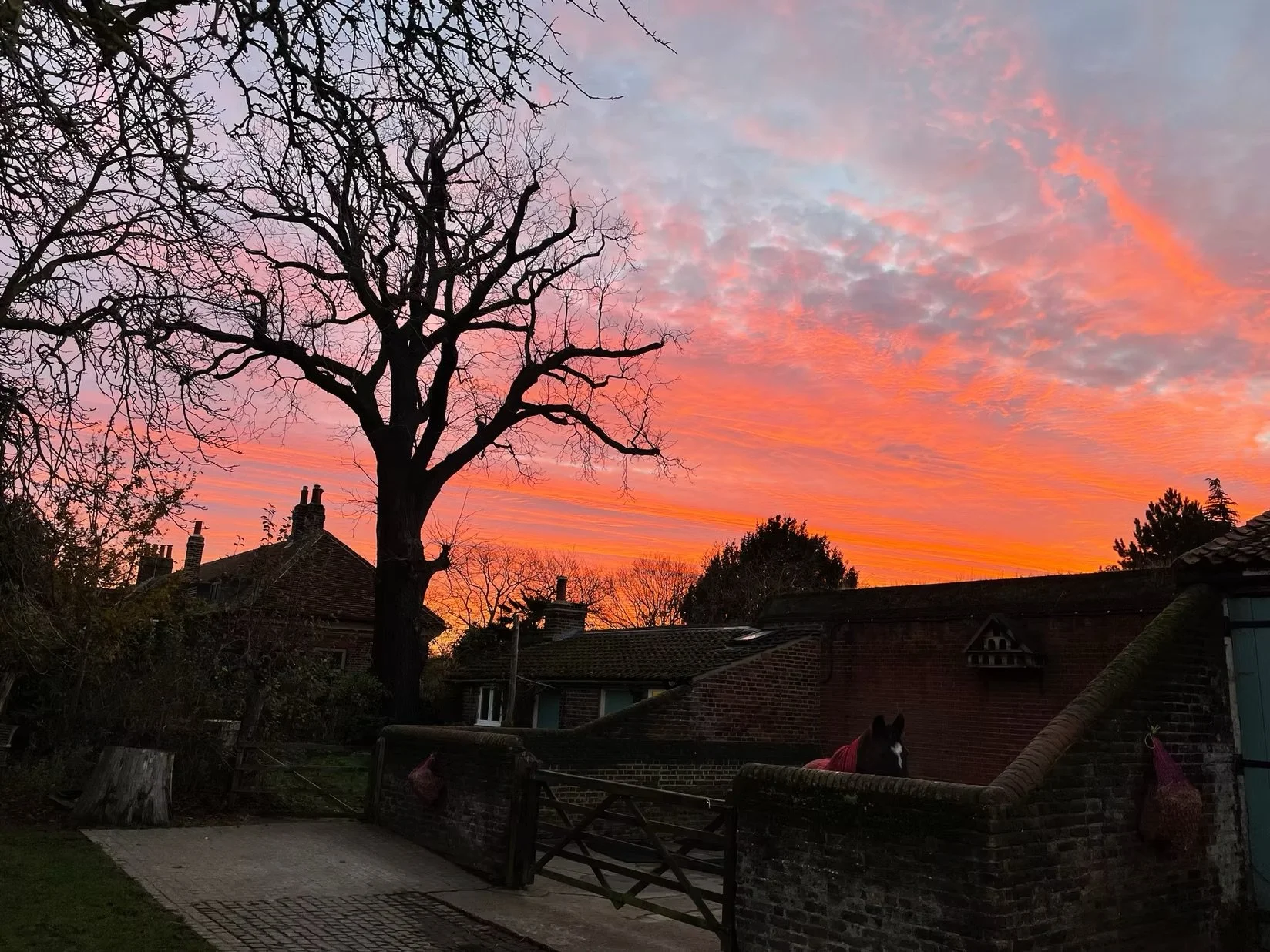 Evenings at the yard