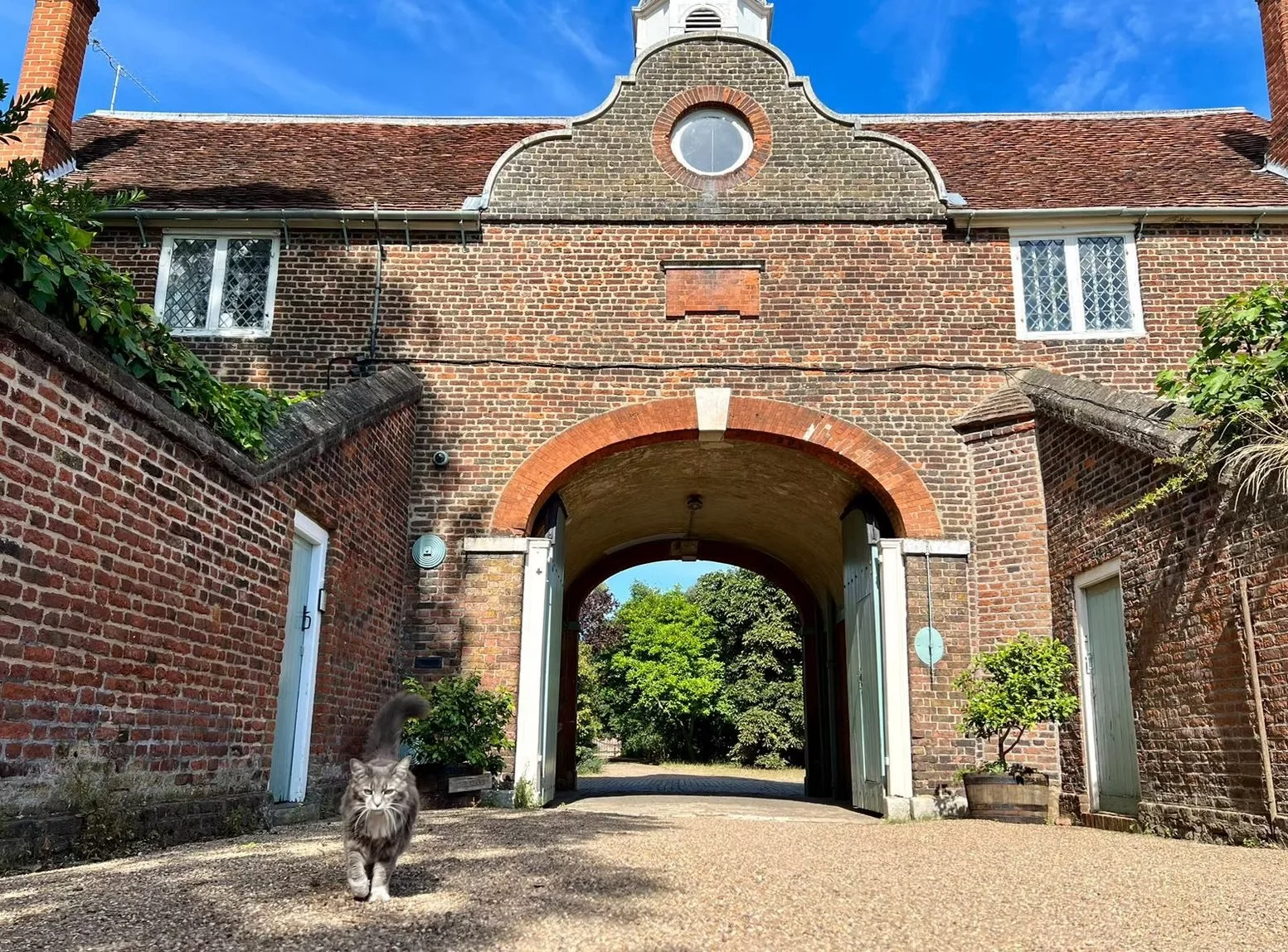 Arrival through the archway